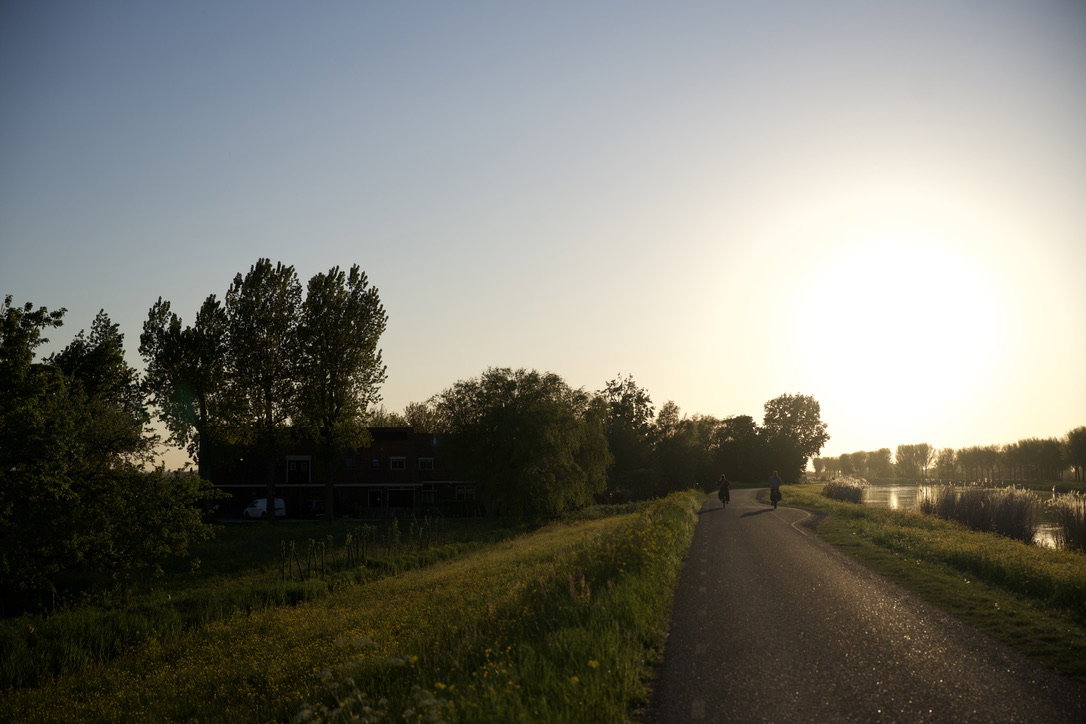 - image: 45