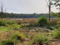Casa nella natura a Meppen