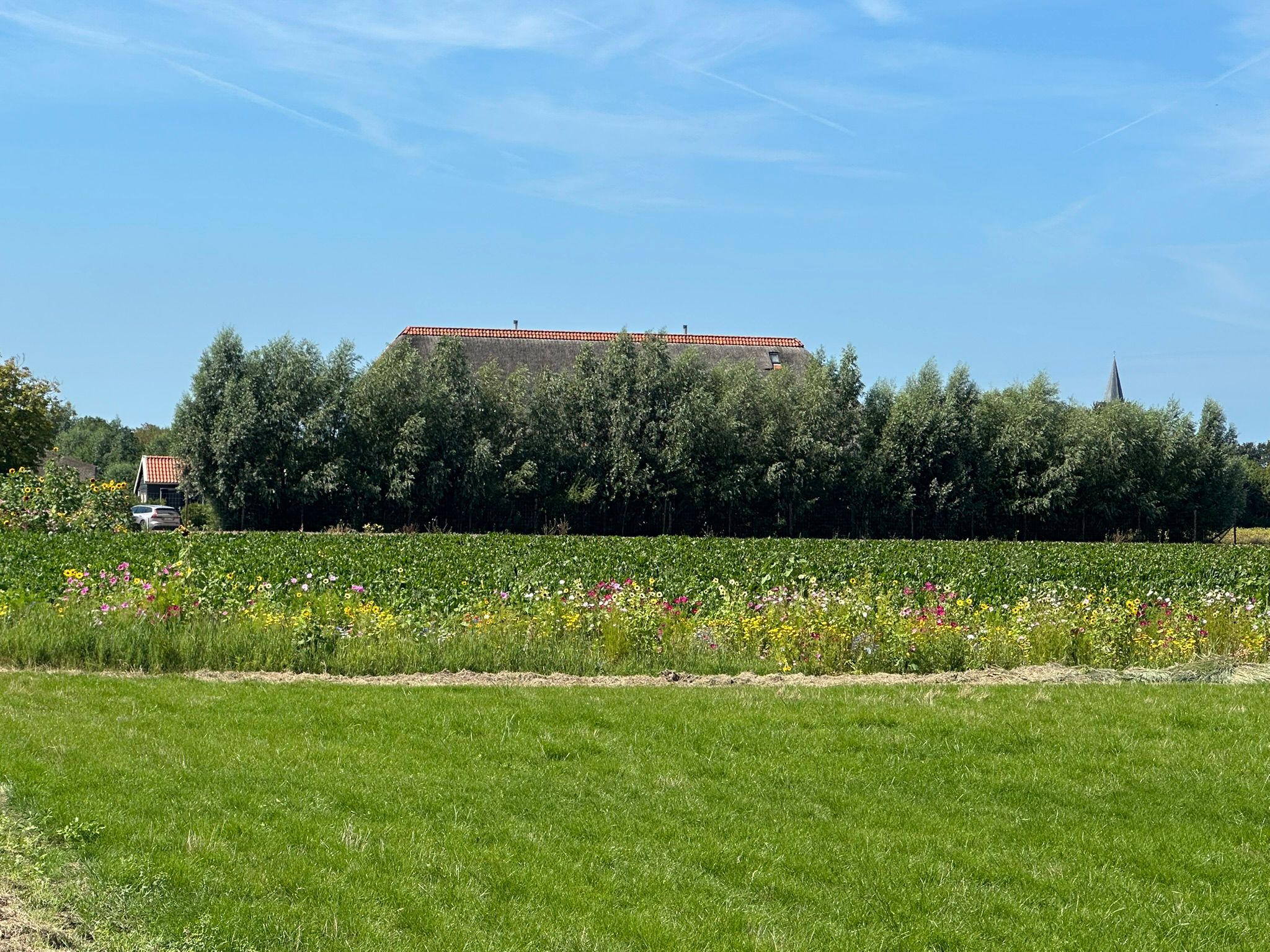 Casa nella natura a Oostkapelle