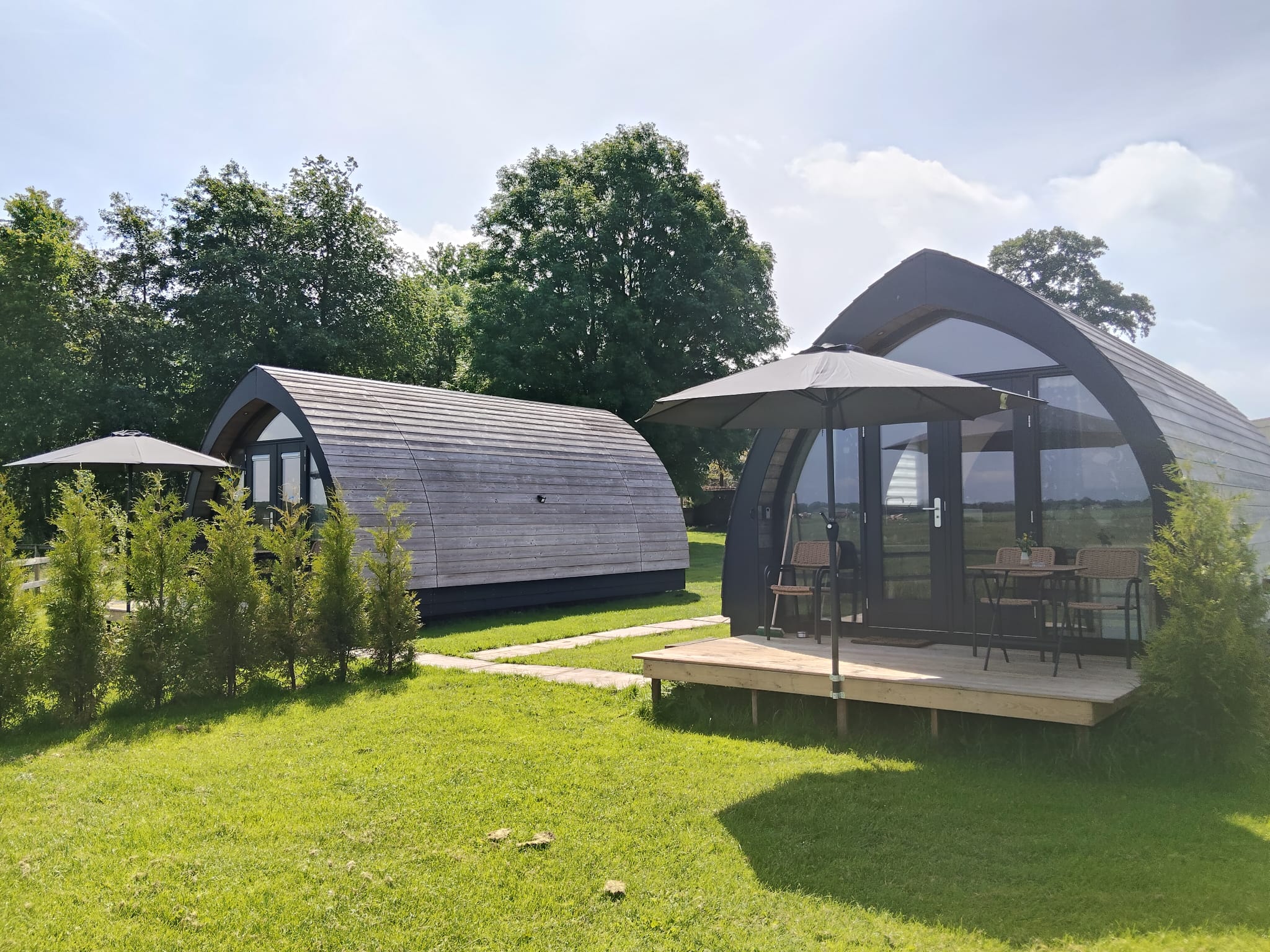 Natuurhuisje in Boornbergum