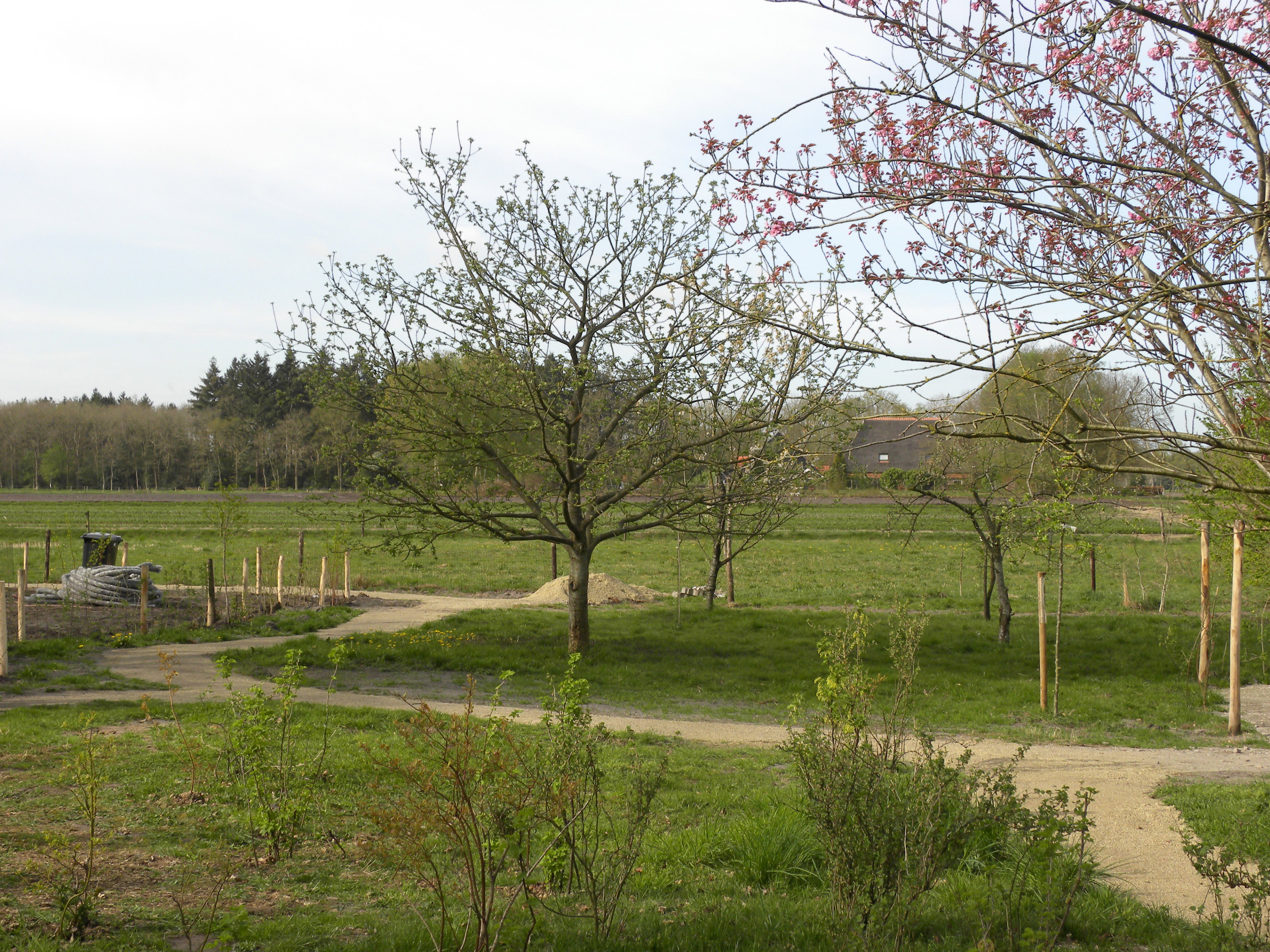 Natuurhuisje in Vledderveen