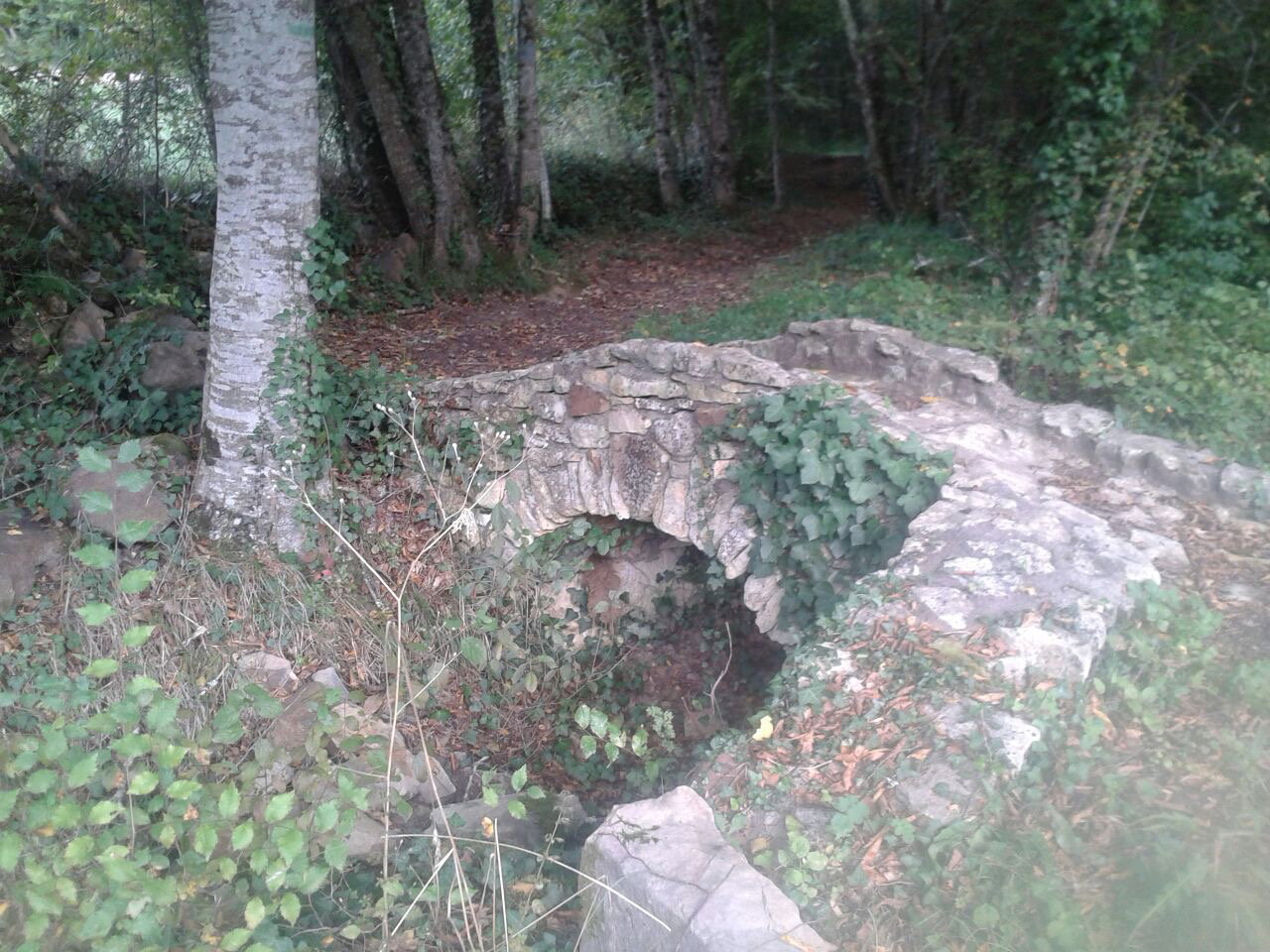 - image: 11