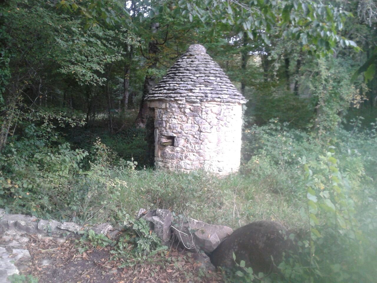 - image: 12