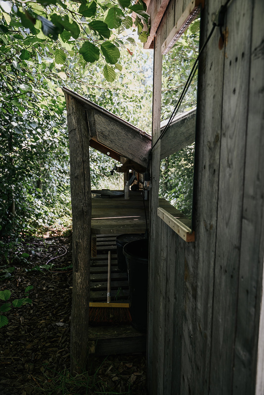 - image: 11