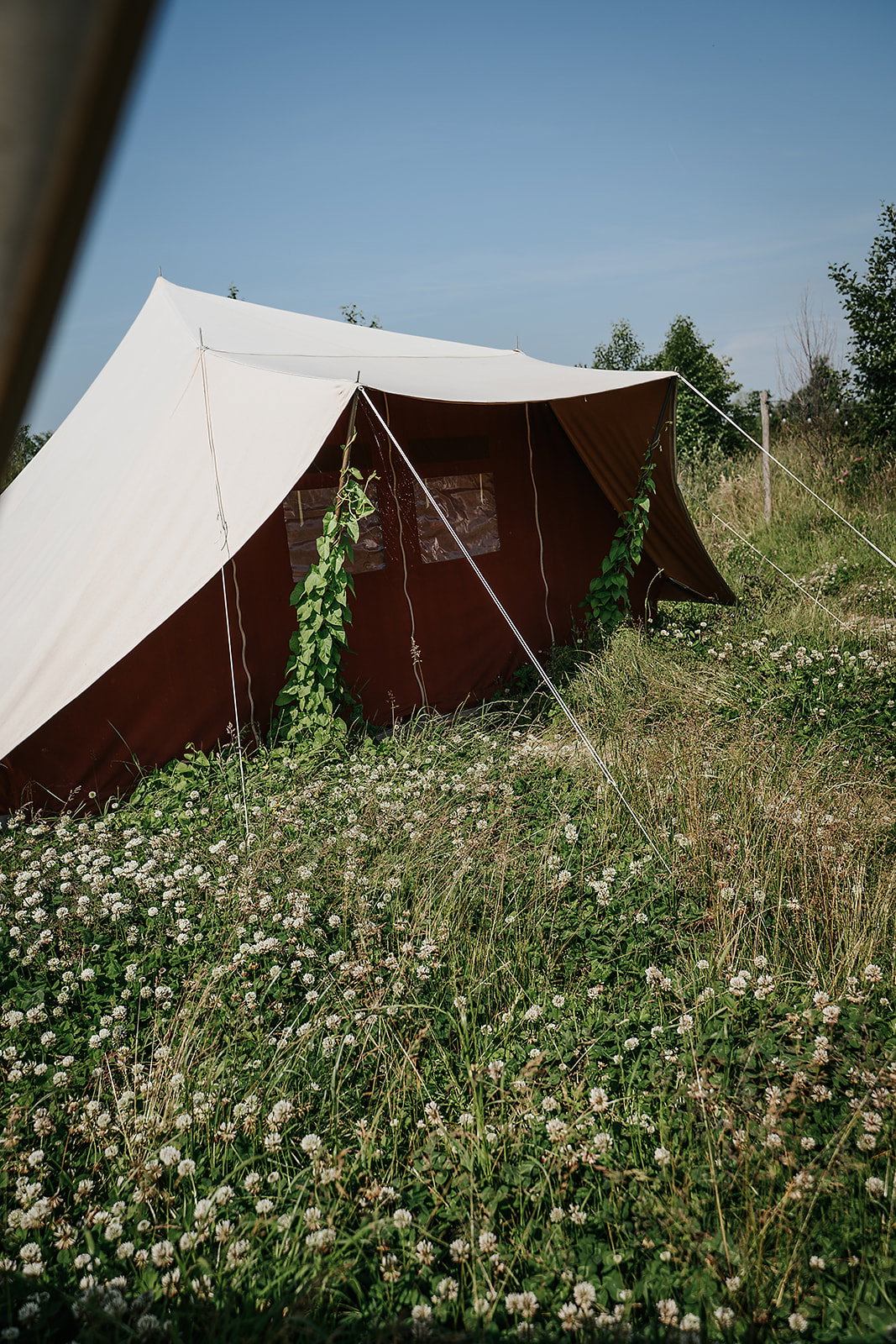 Maison nature à Wange