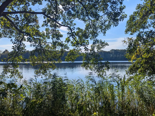 Natuurhuisje in Ruinerwold