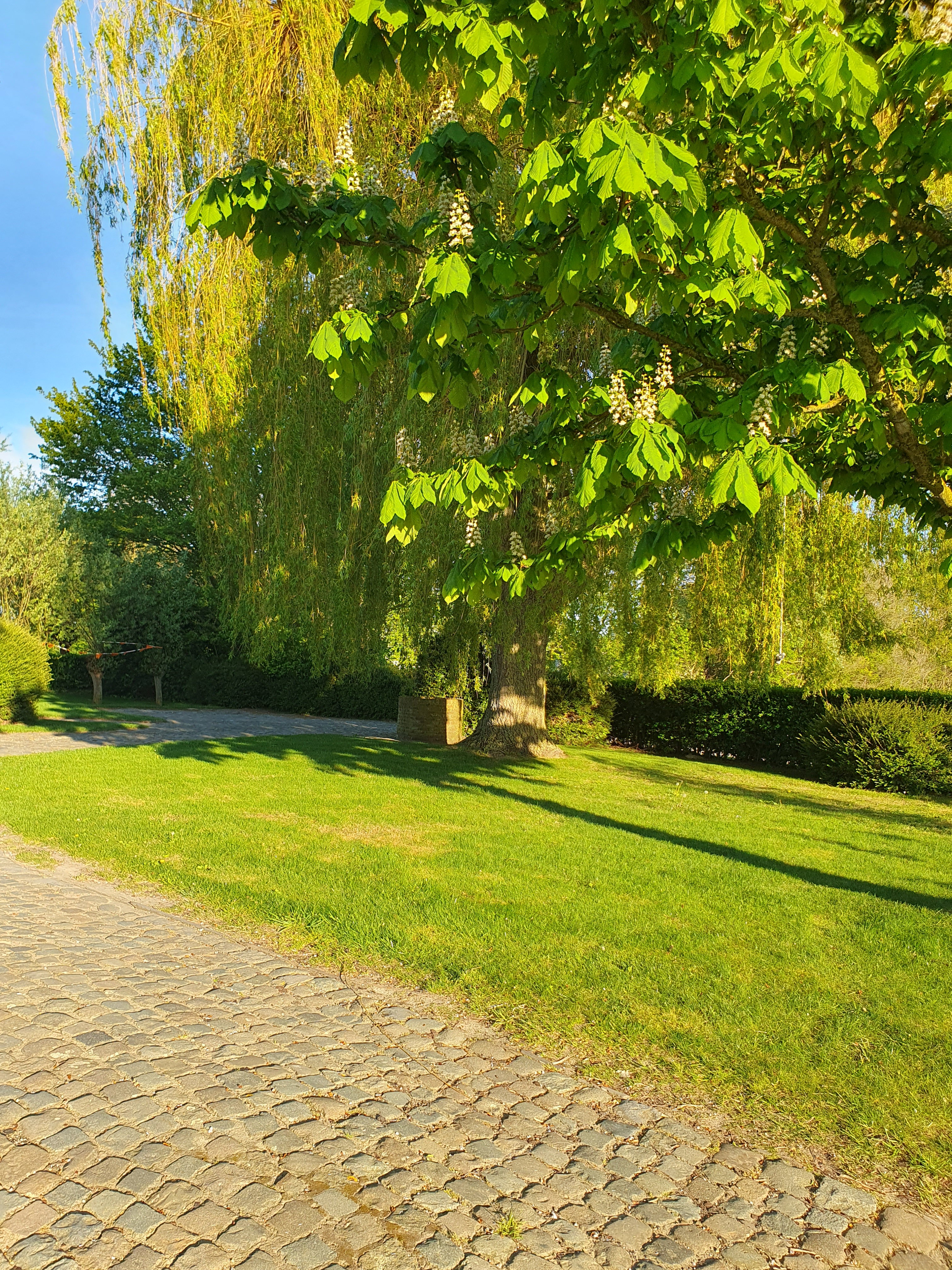 Natuurhuisje in Axel
