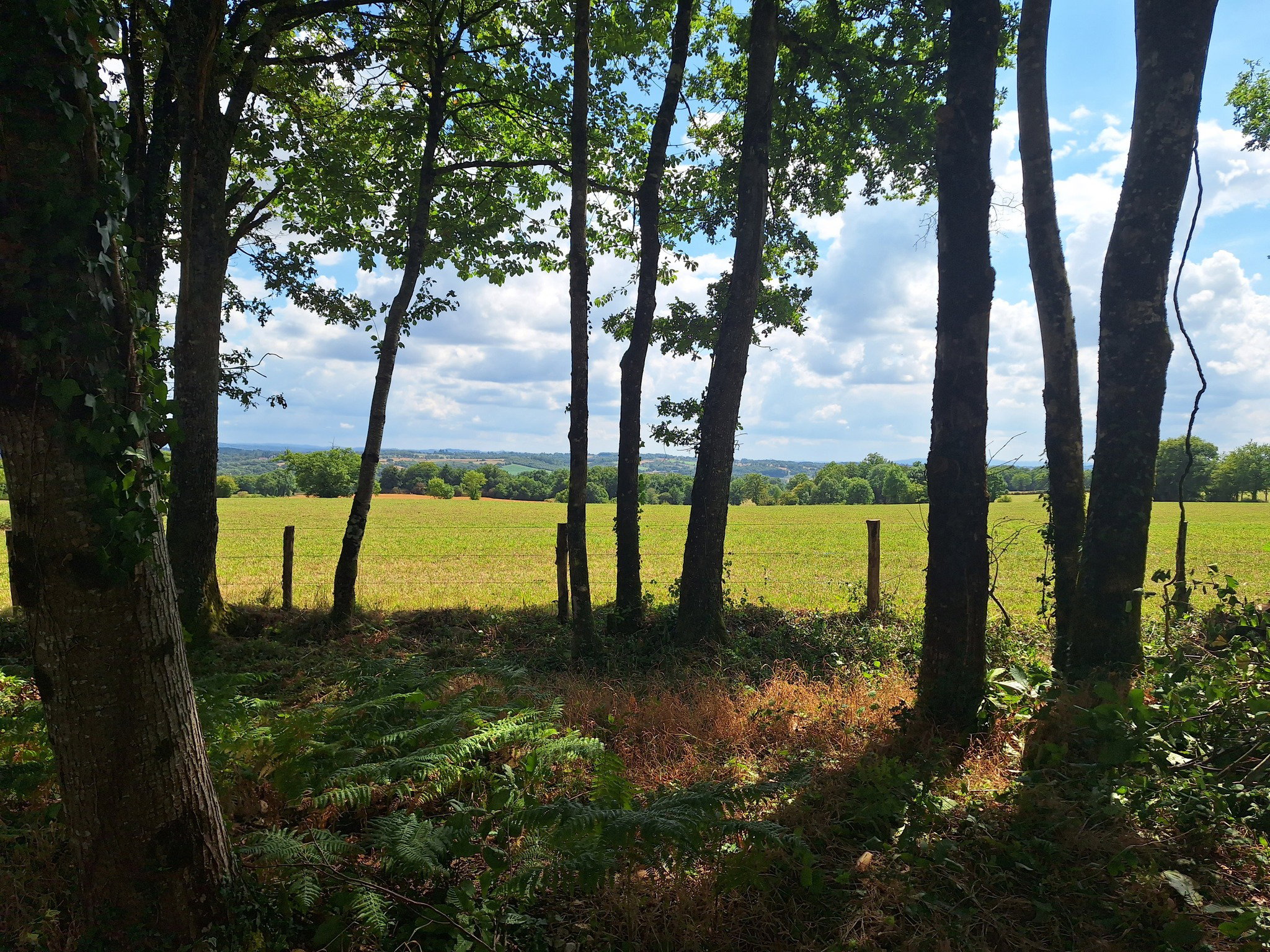 Natuurhuisje in Dompierre-Les-Eglises