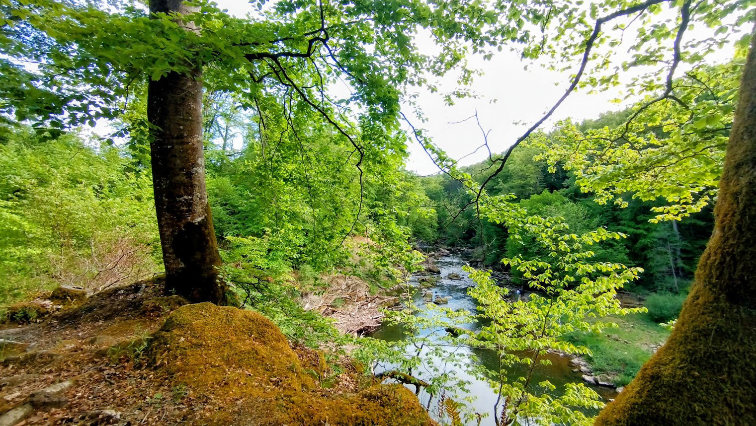 Natuurhuisje in Prümzurlay