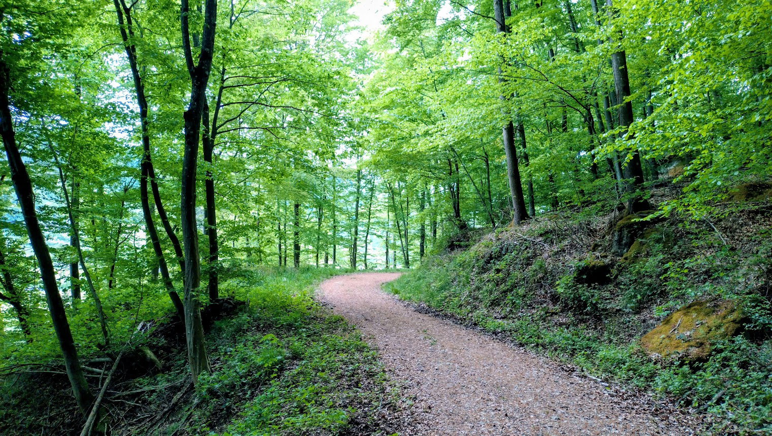 Natuurhuisje in Prümzurlay