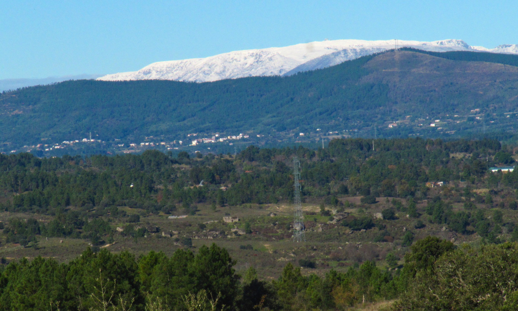 - image: 28