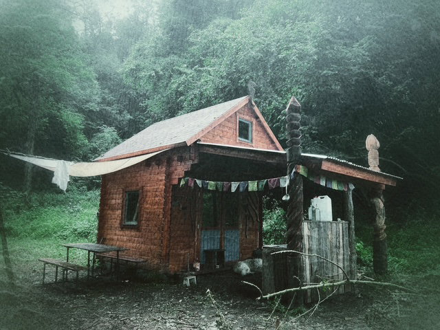 - image: 12