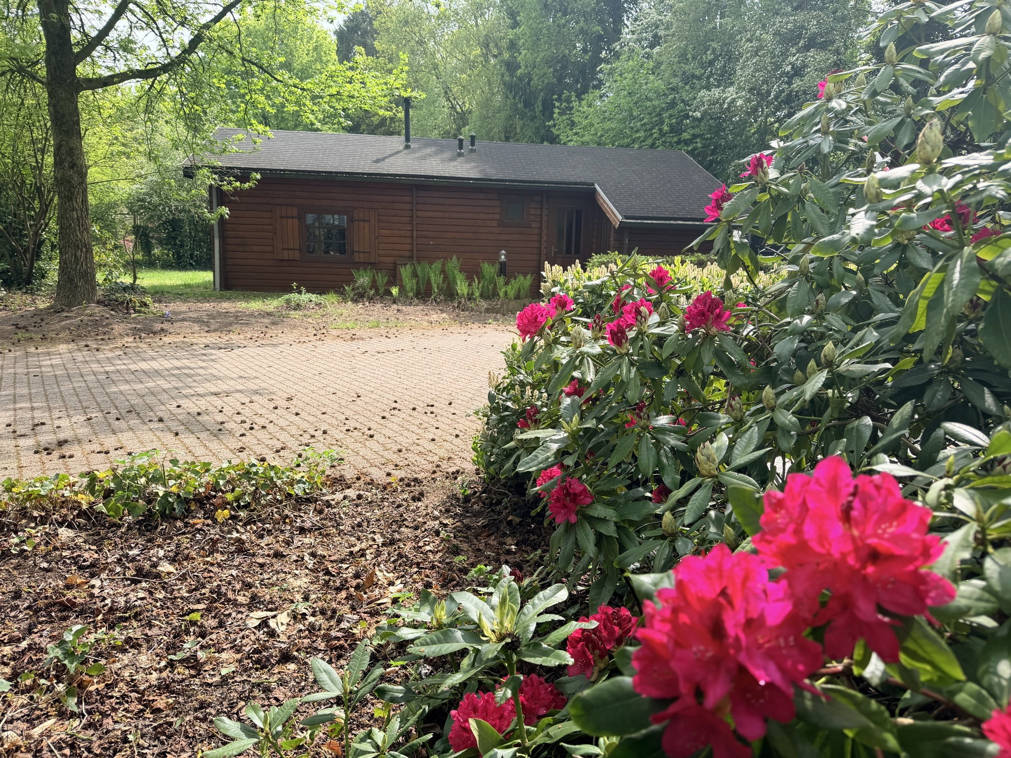 Naturhäuschen in IJhorst