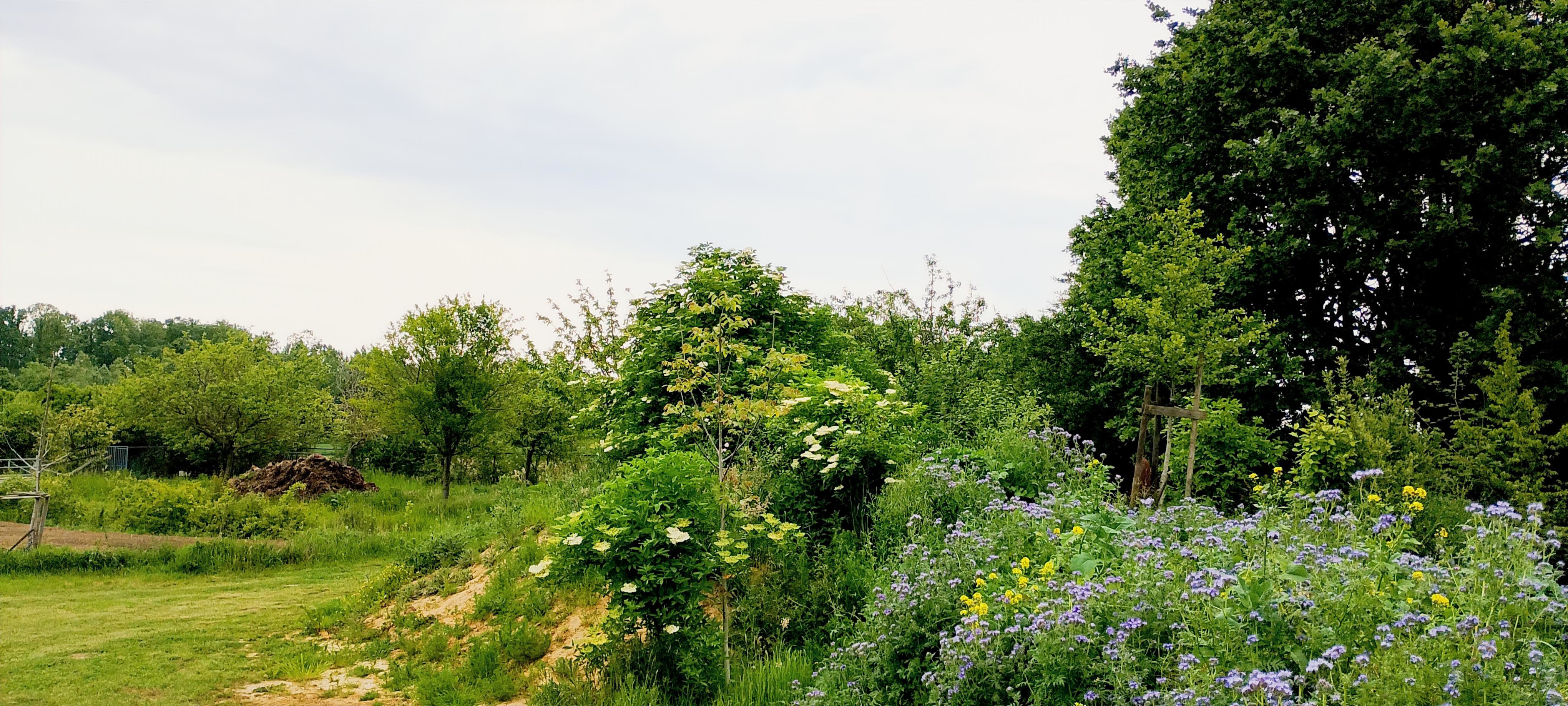 - image: 11