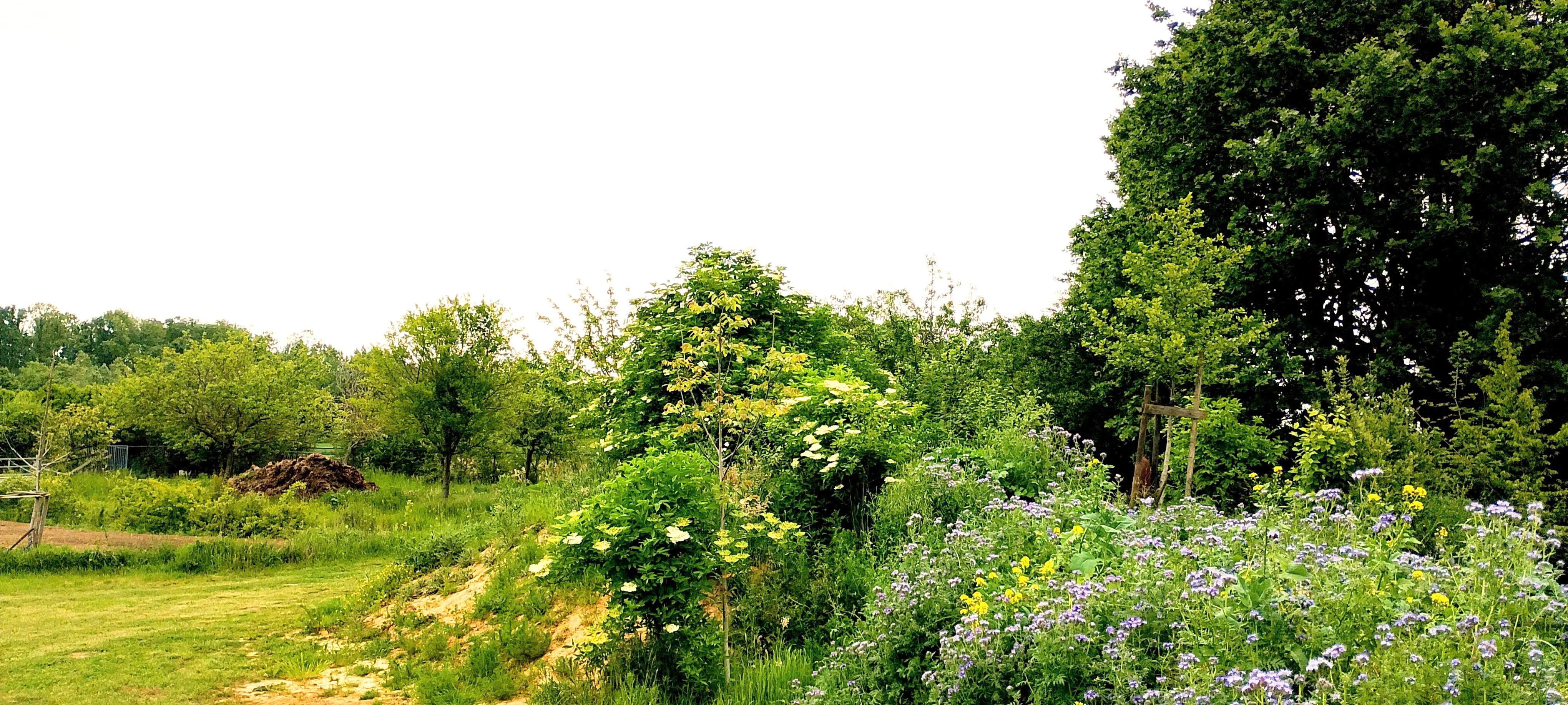 Naturhäuschen in Merchtem