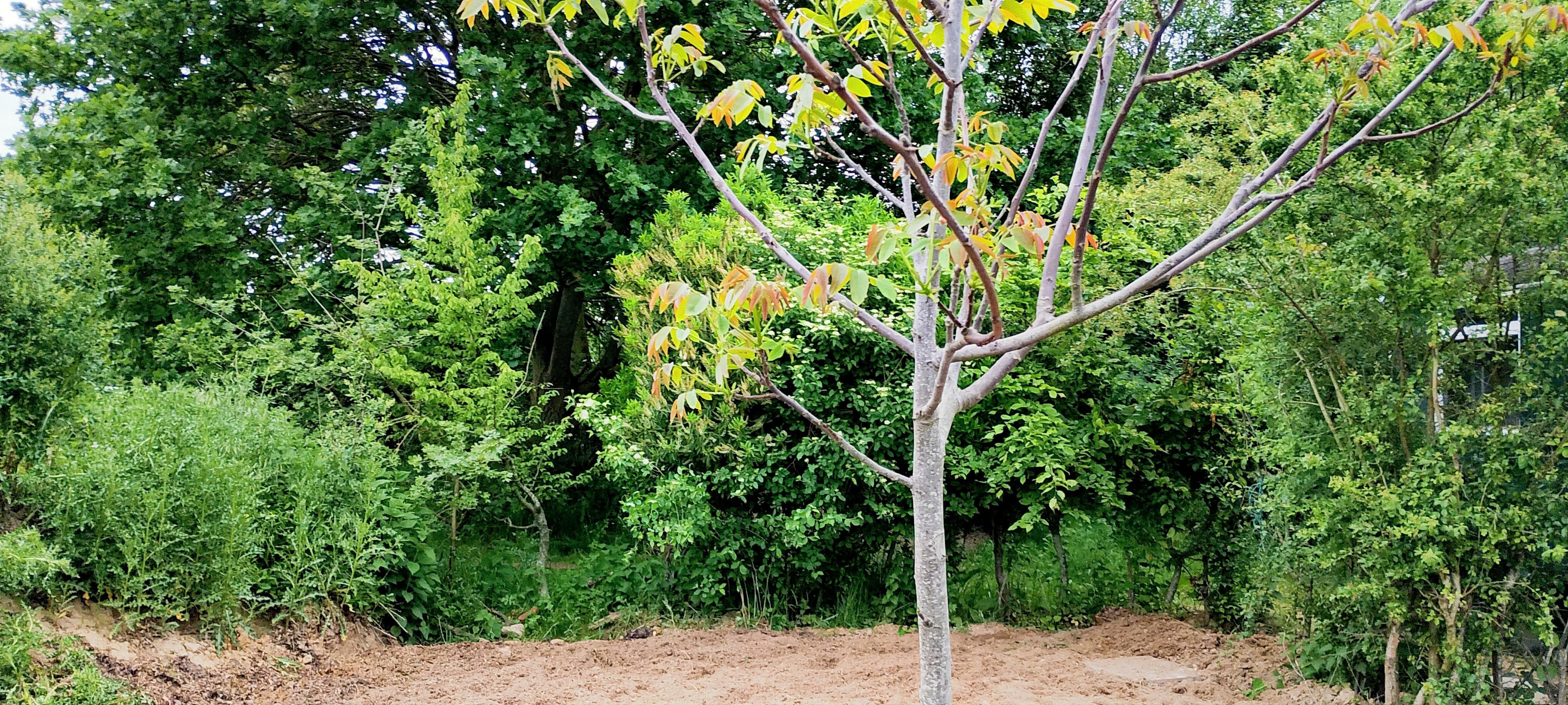 - image: 24