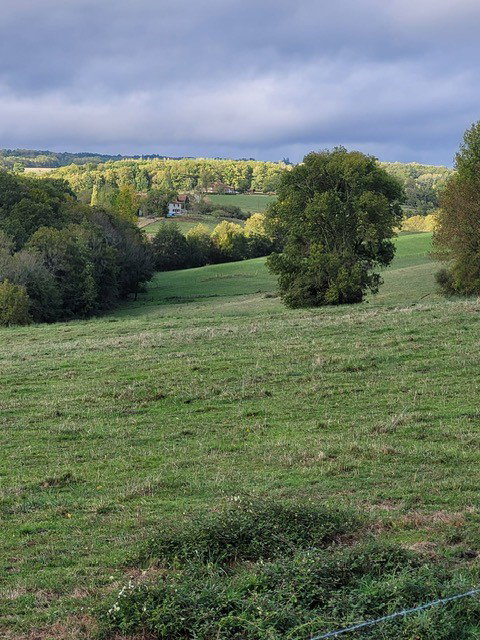 - image: 19