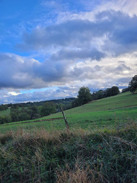 - image: 16