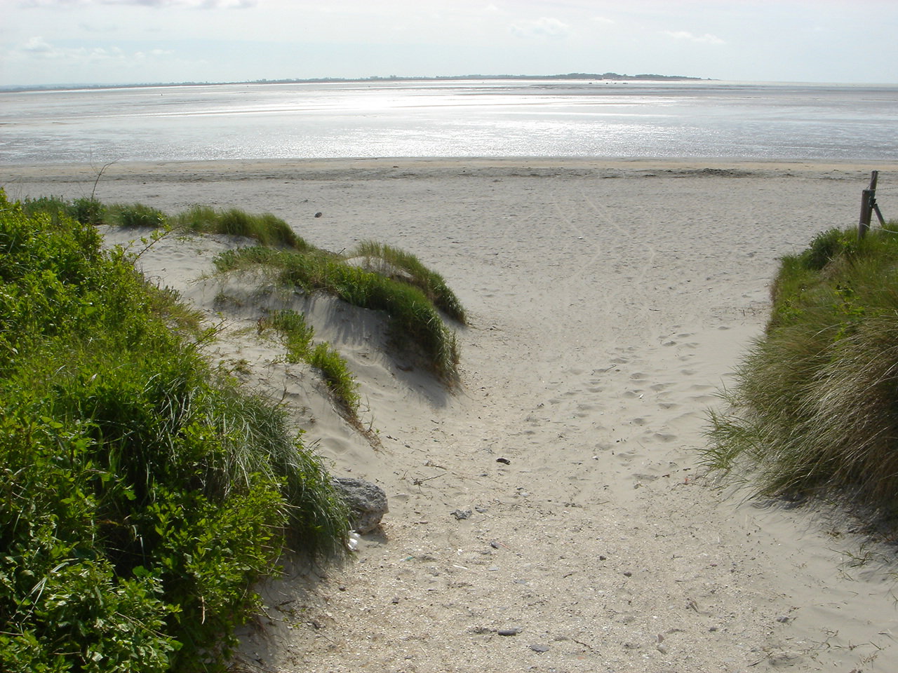- image: 59