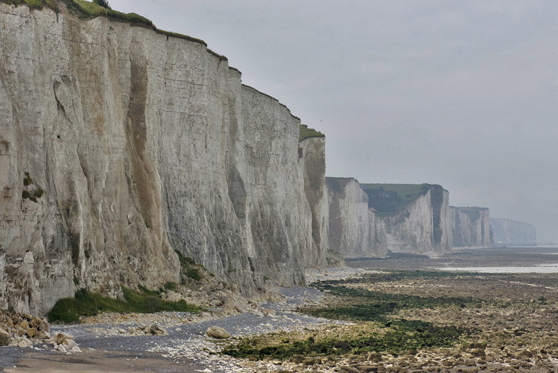 - image: 56