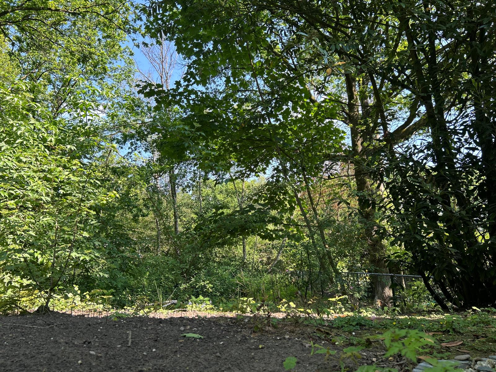 Naturhäuschen in Leende