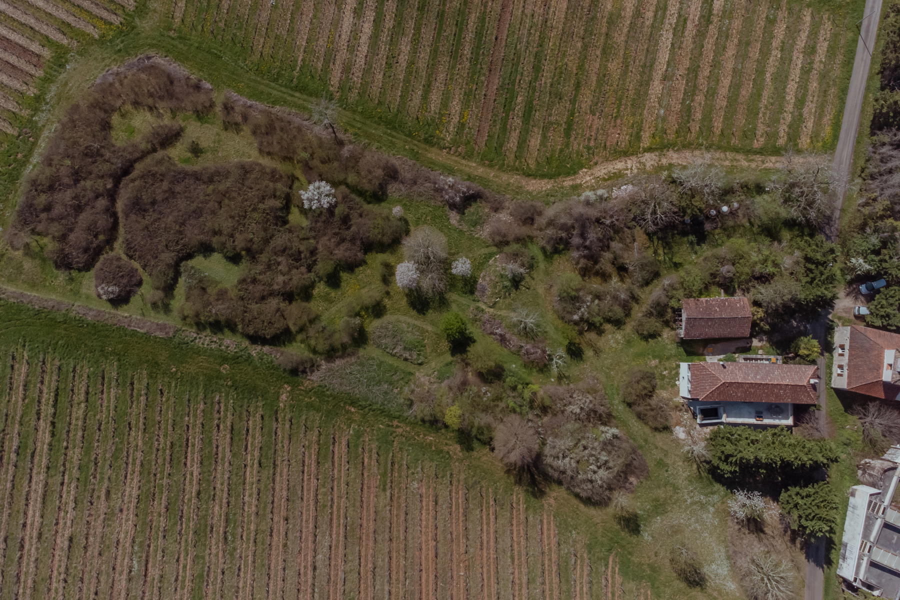Natuurhuisje in Floressas