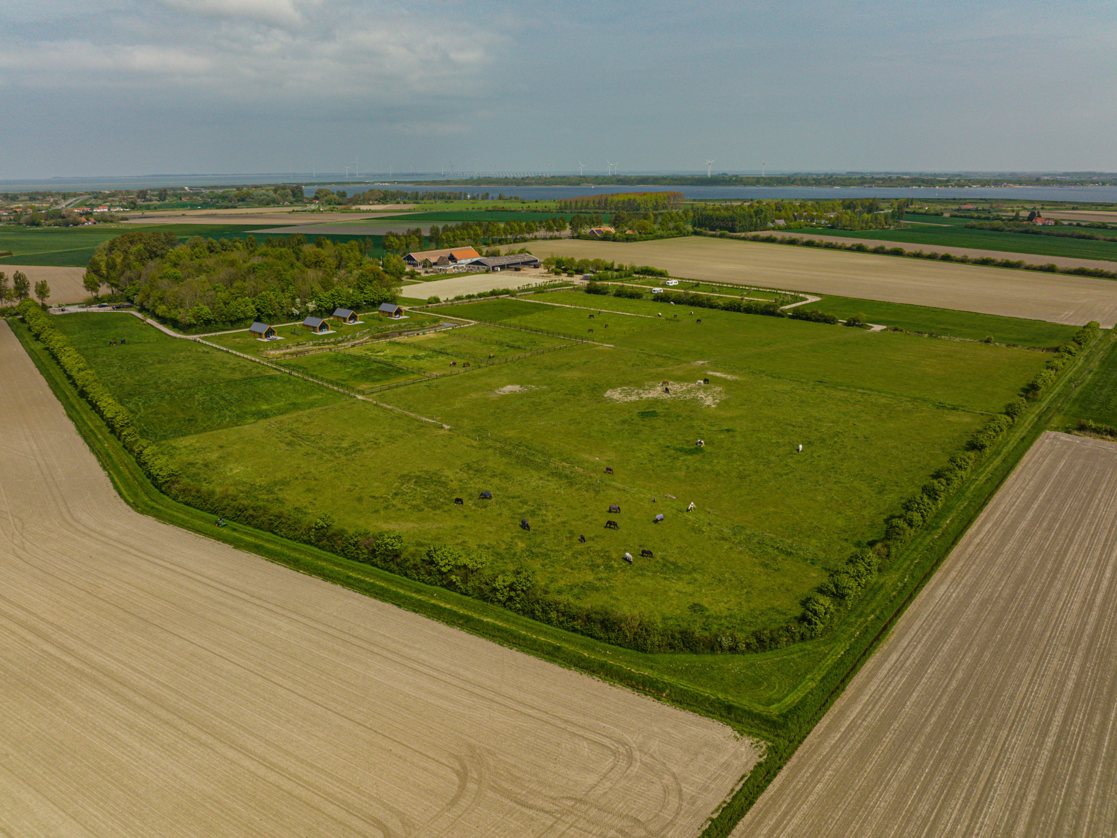 Naturhäuschen in Vrouwenpolder