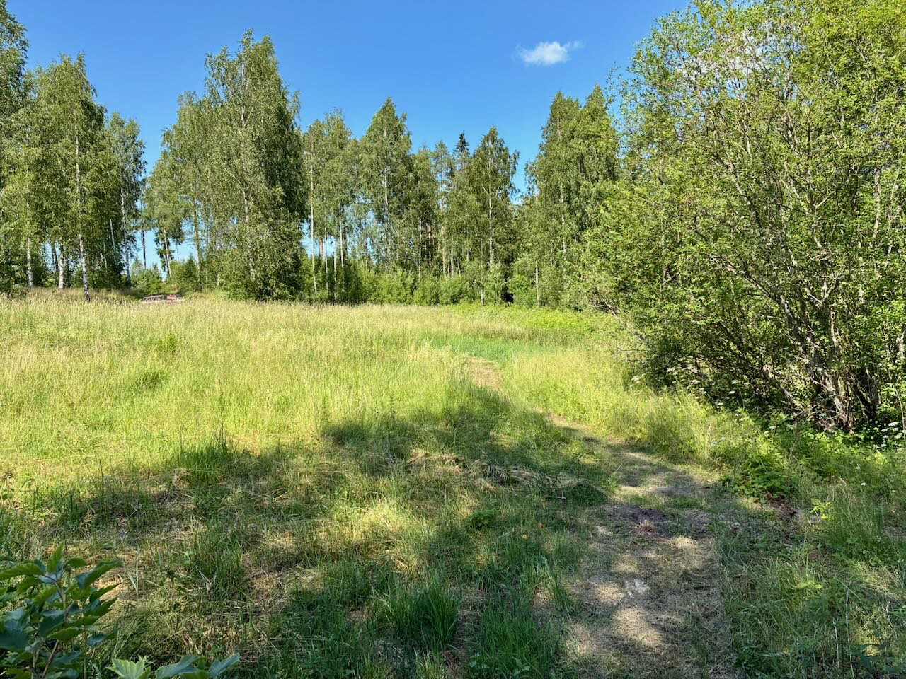 - image: 27