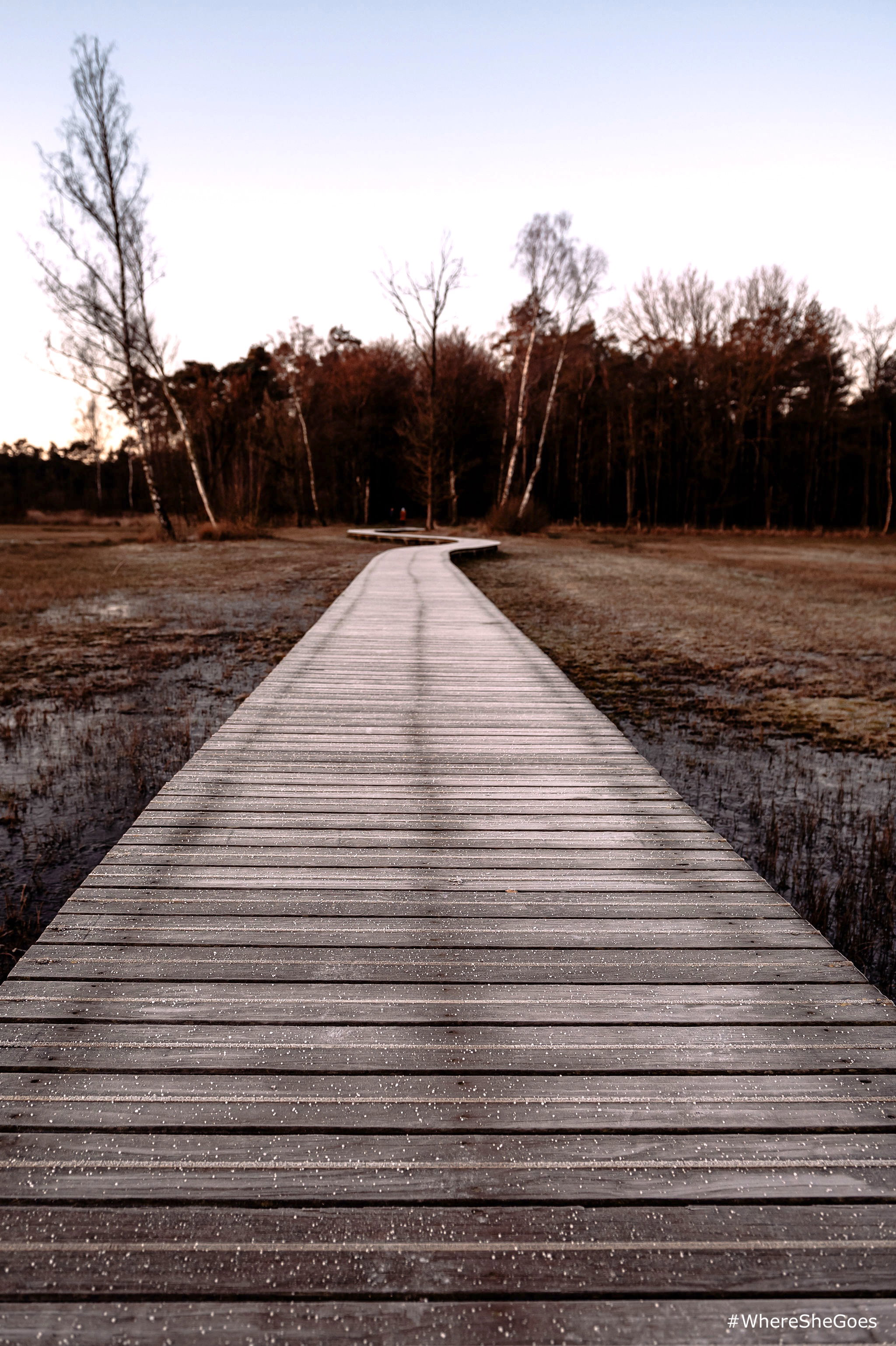 Natuurhuisje in Epe