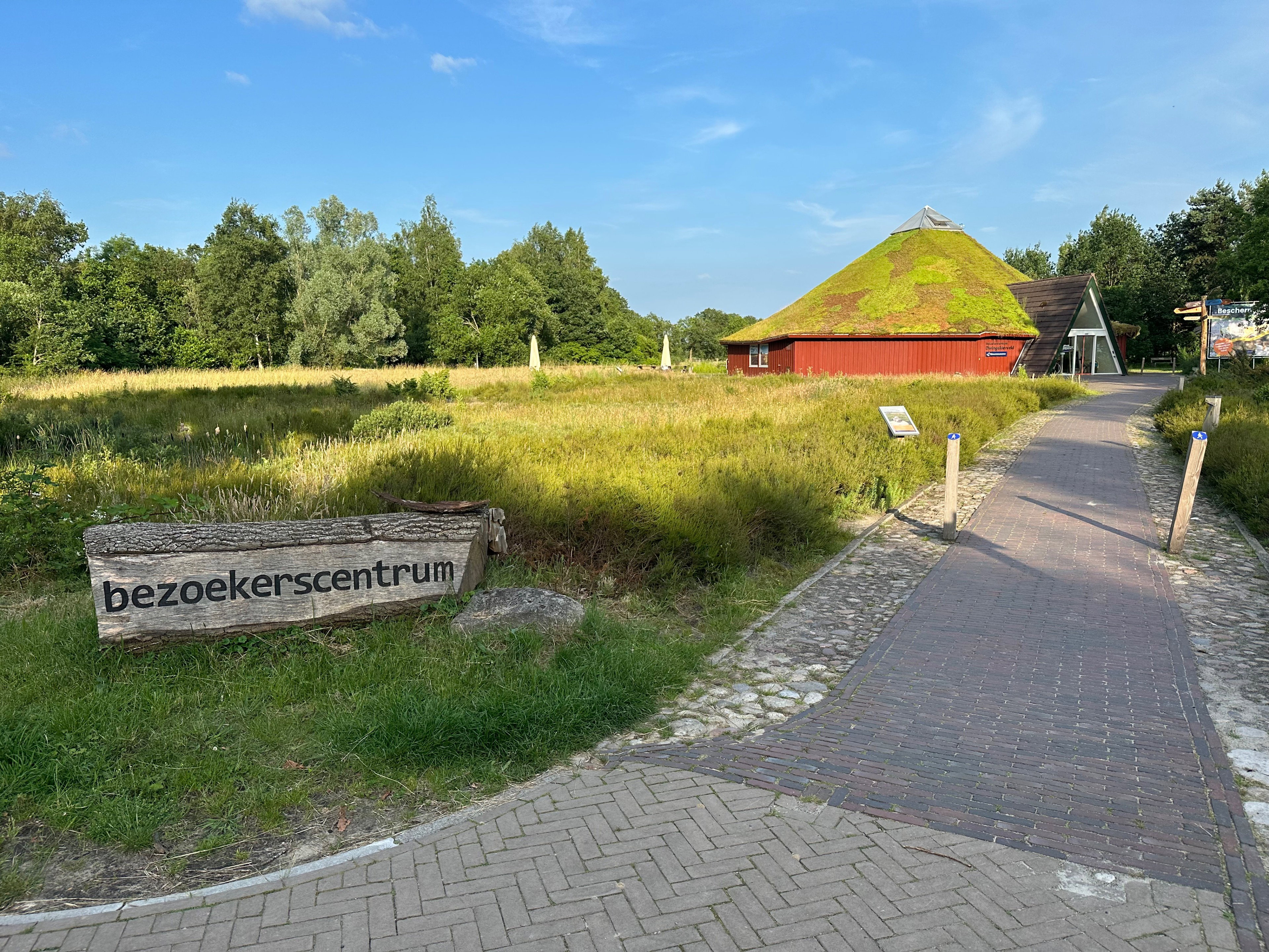- image: 26