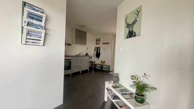 - image: 20