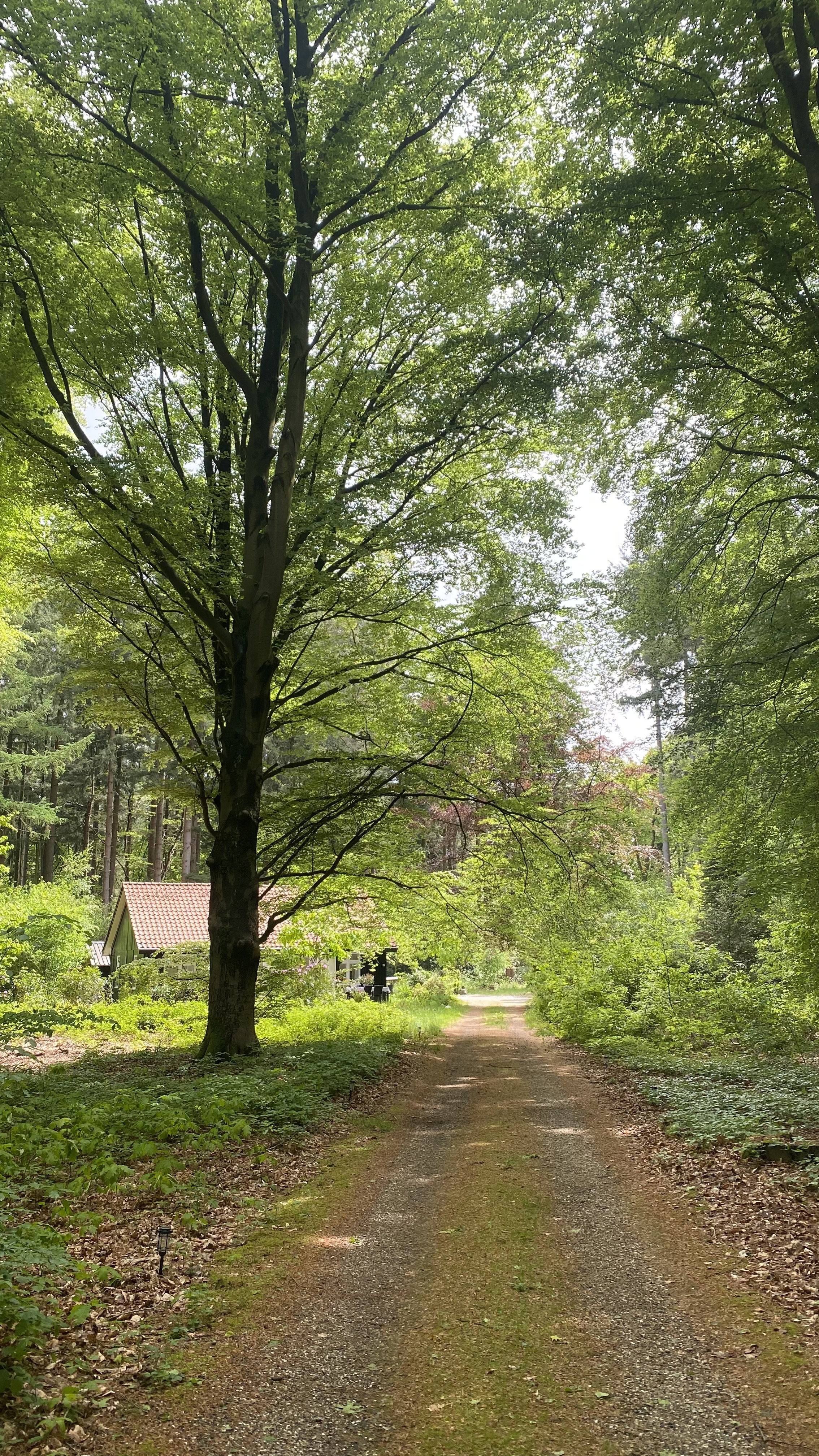 Natuurhuisje in Epe