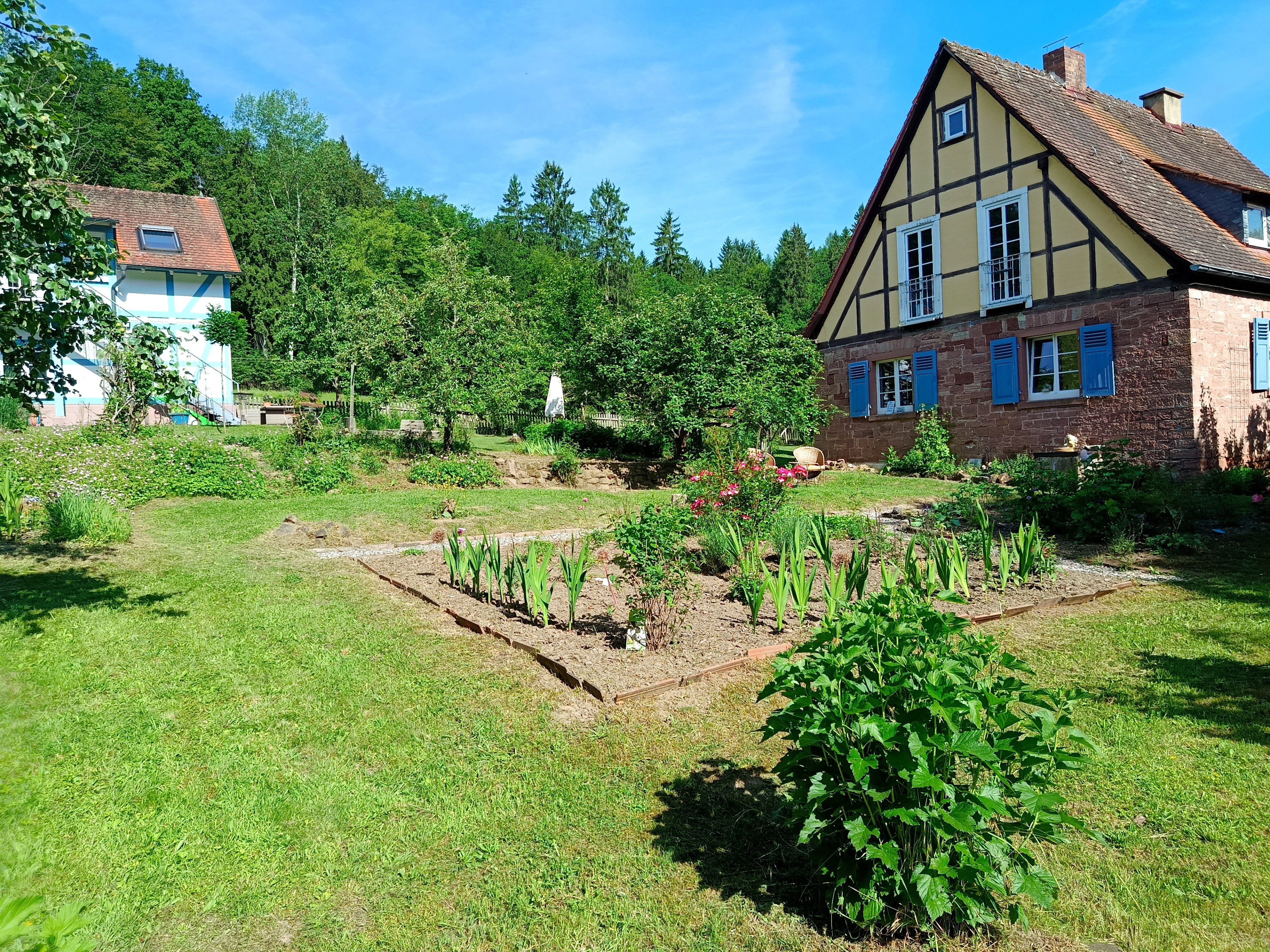 - image: 23