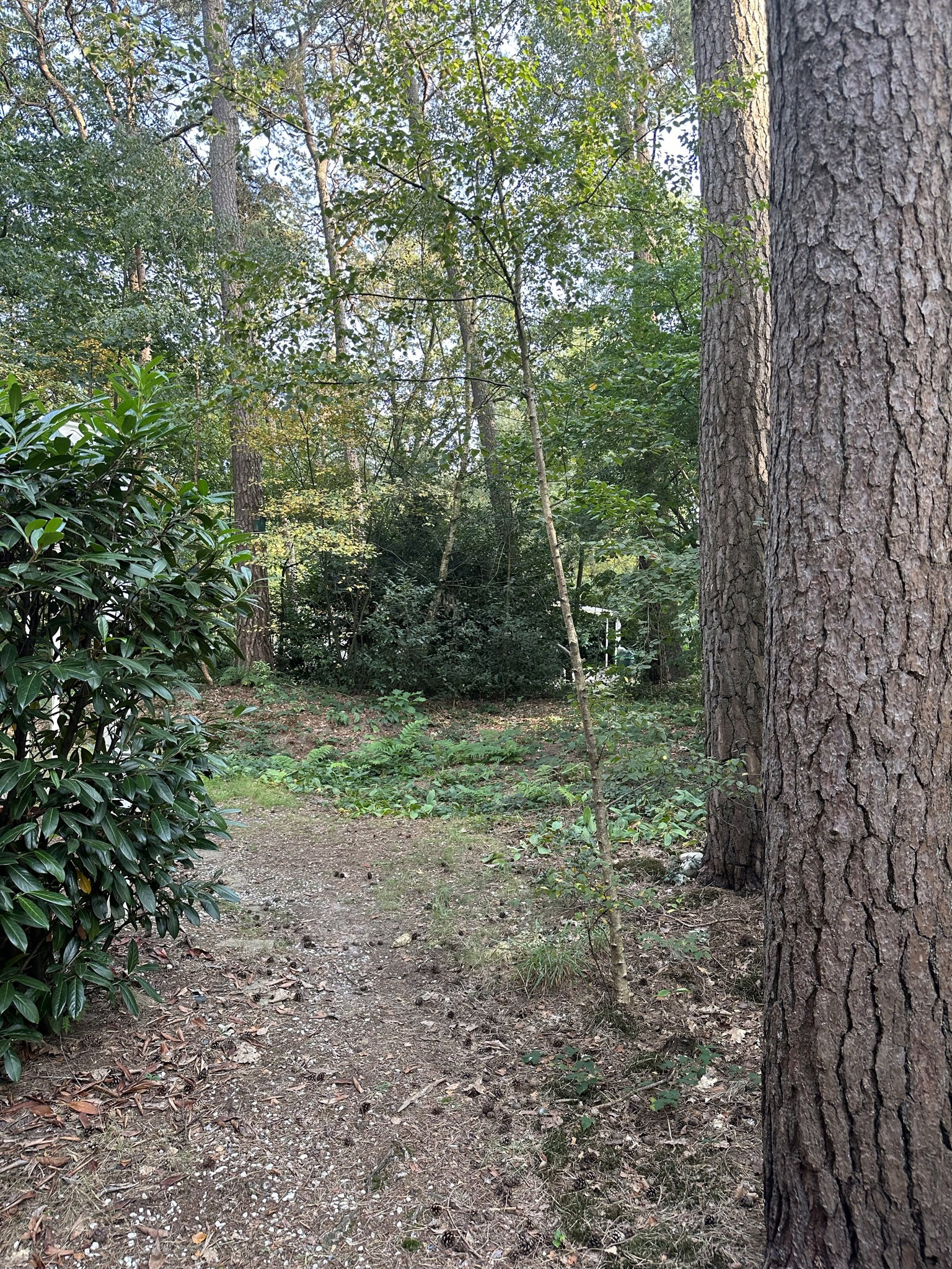 Natuurhuisje in Norg