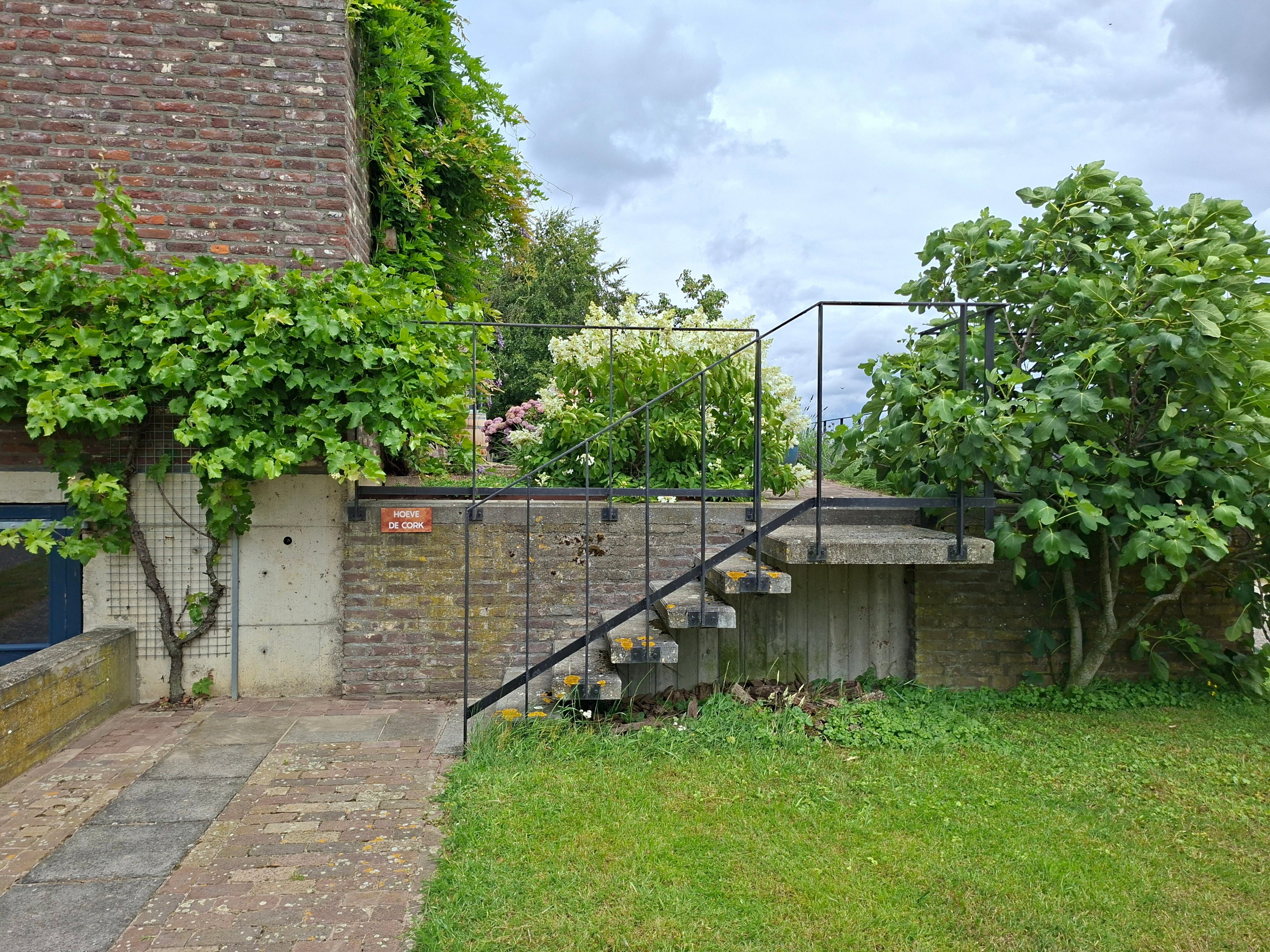- image: 26