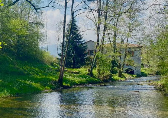 Natuurhuisje in MONTASTRUC DE SALIES
