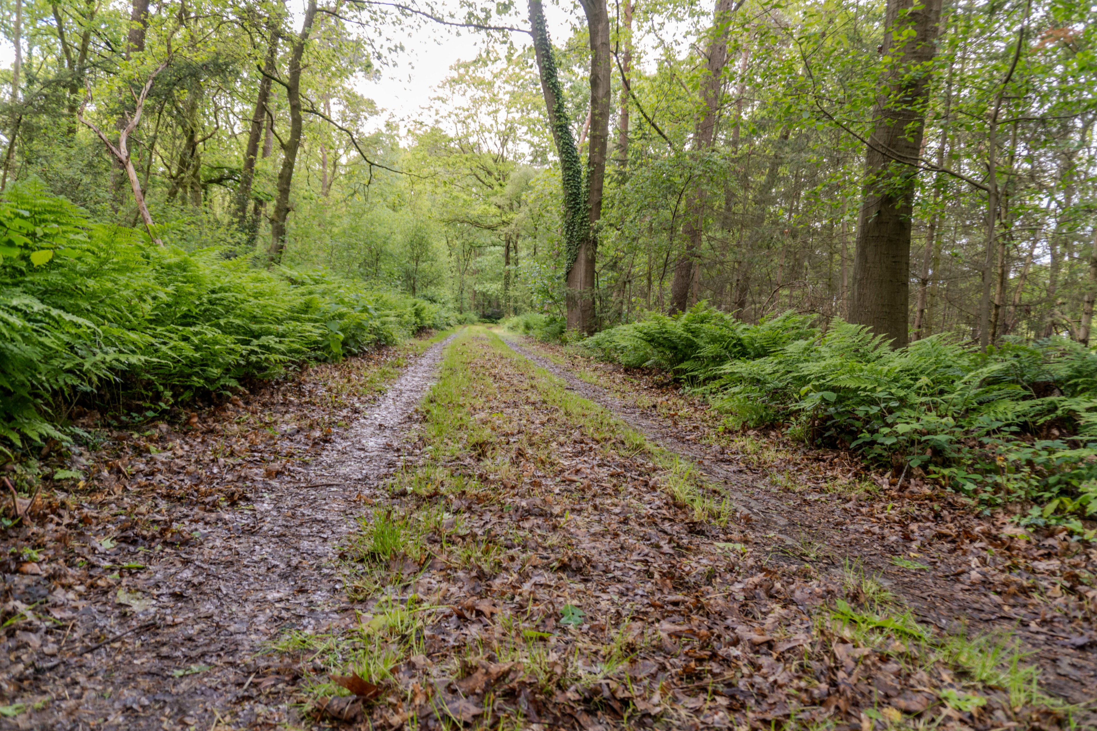 Natuurhuisje in Aalten