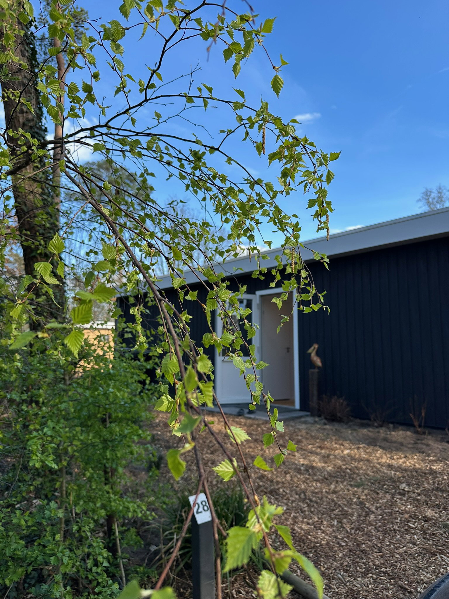 Nature house in Winterswijk