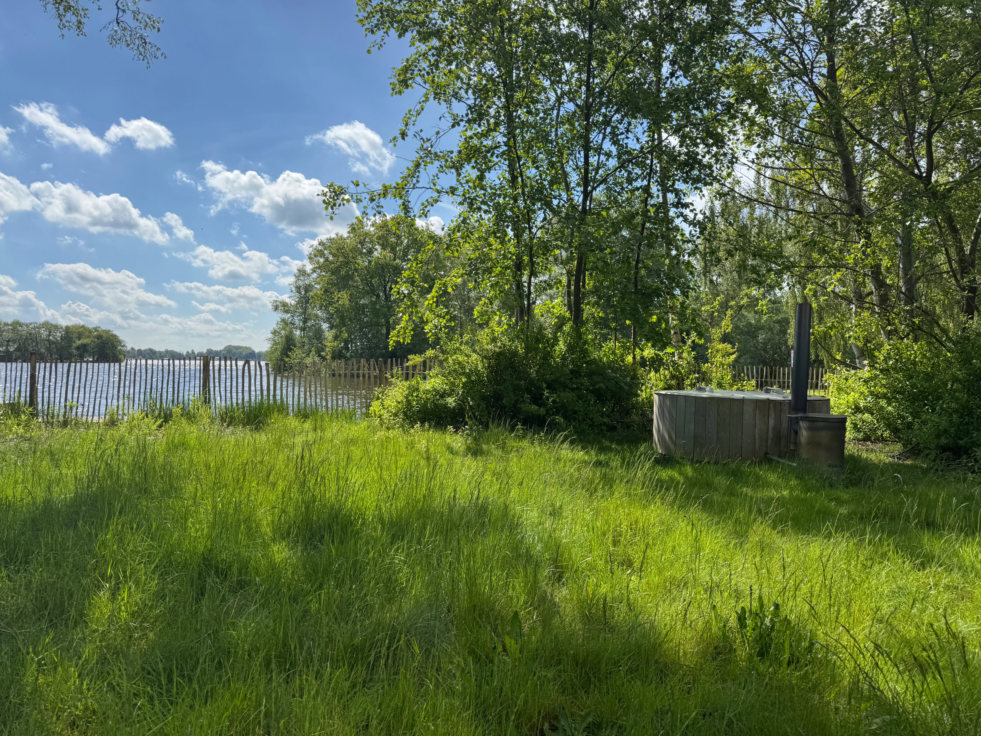 - image: 3