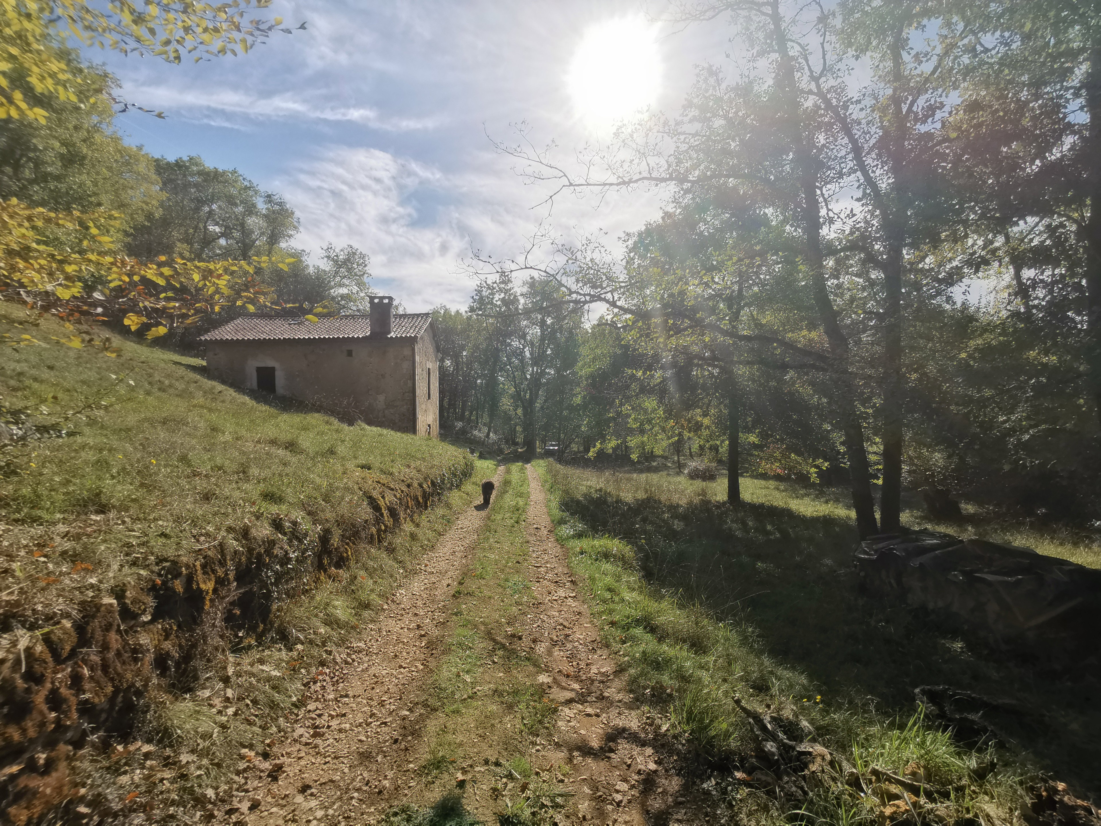 Natuurhuisje in Condat-sur-Trincou