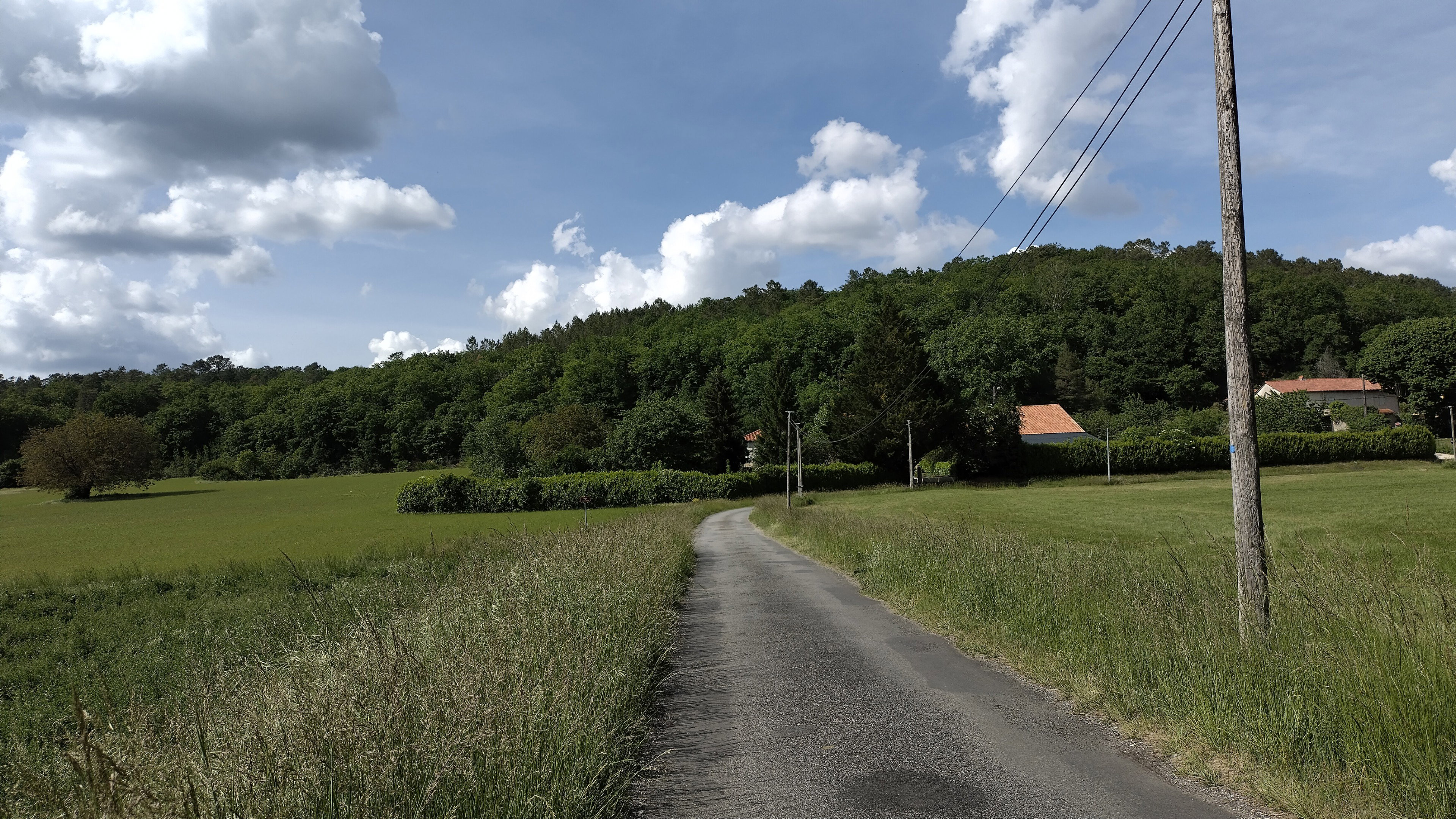 - image: 14