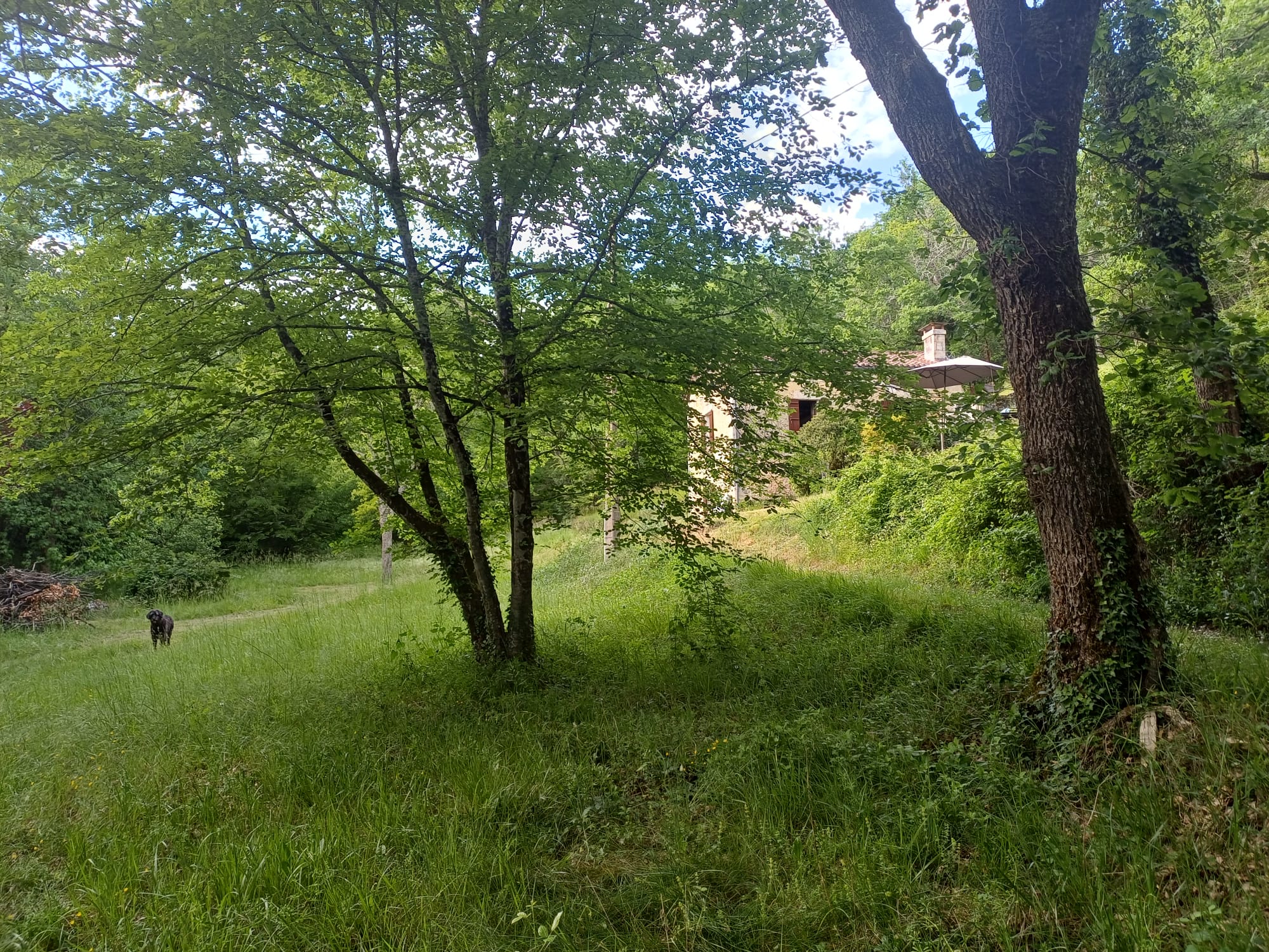 Natuurhuisje in Condat-sur-Trincou