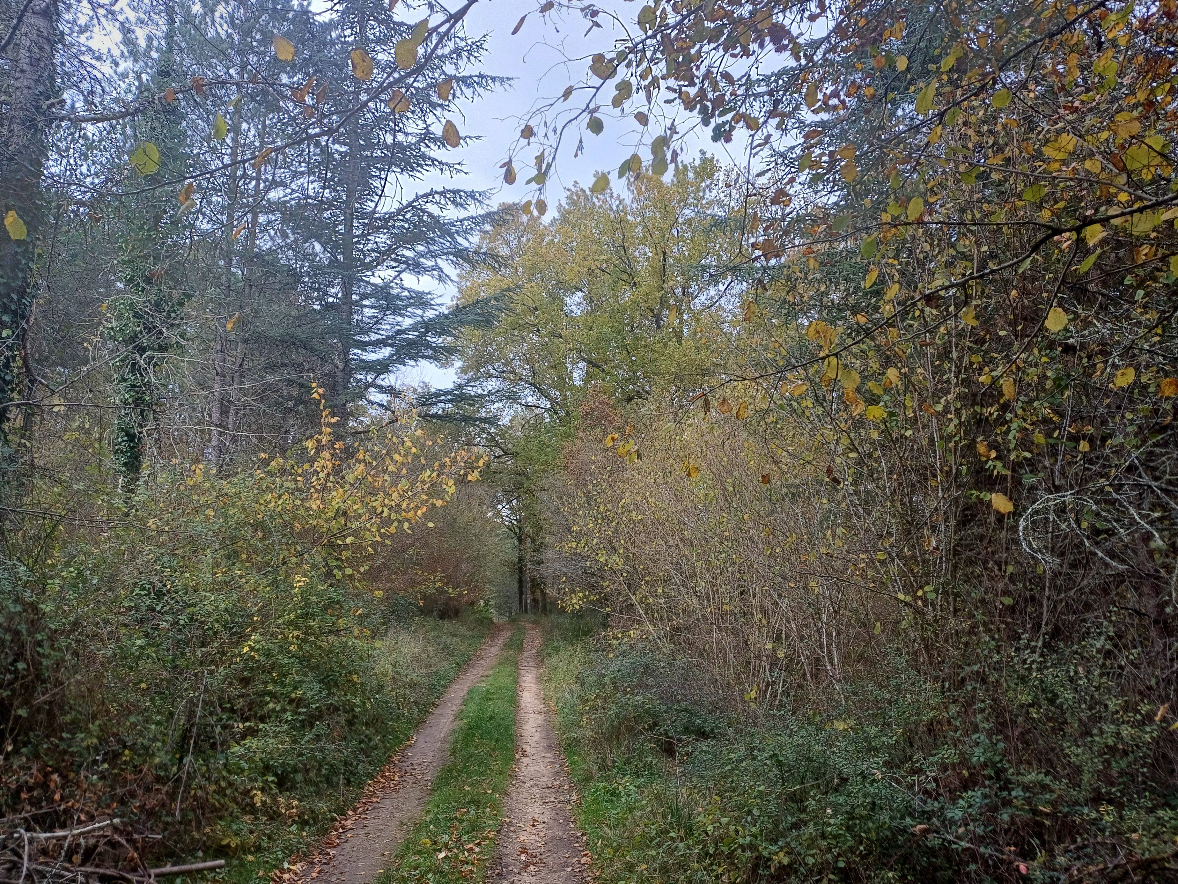 - image: 28