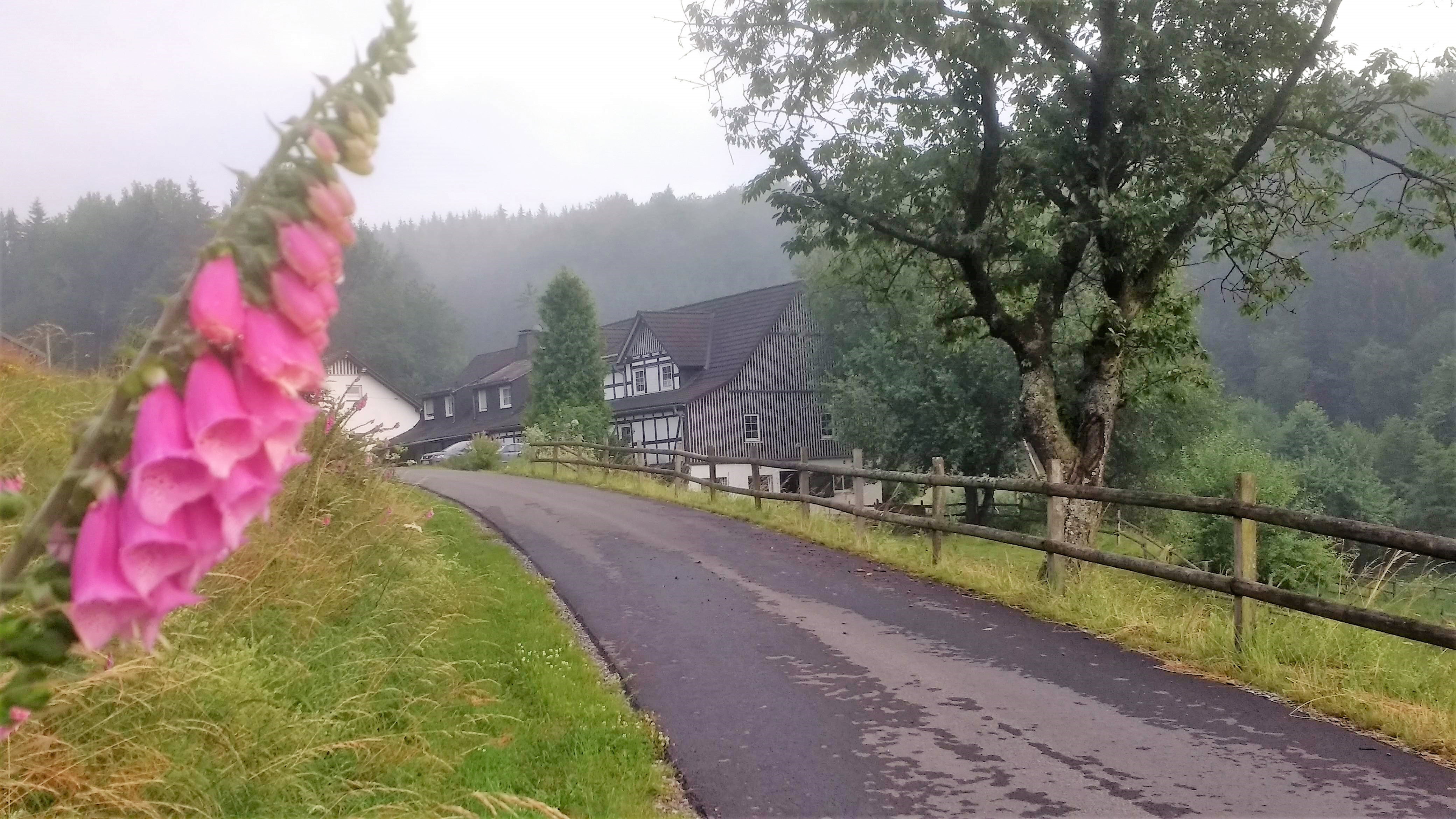 Casa nella natura a Eslohe