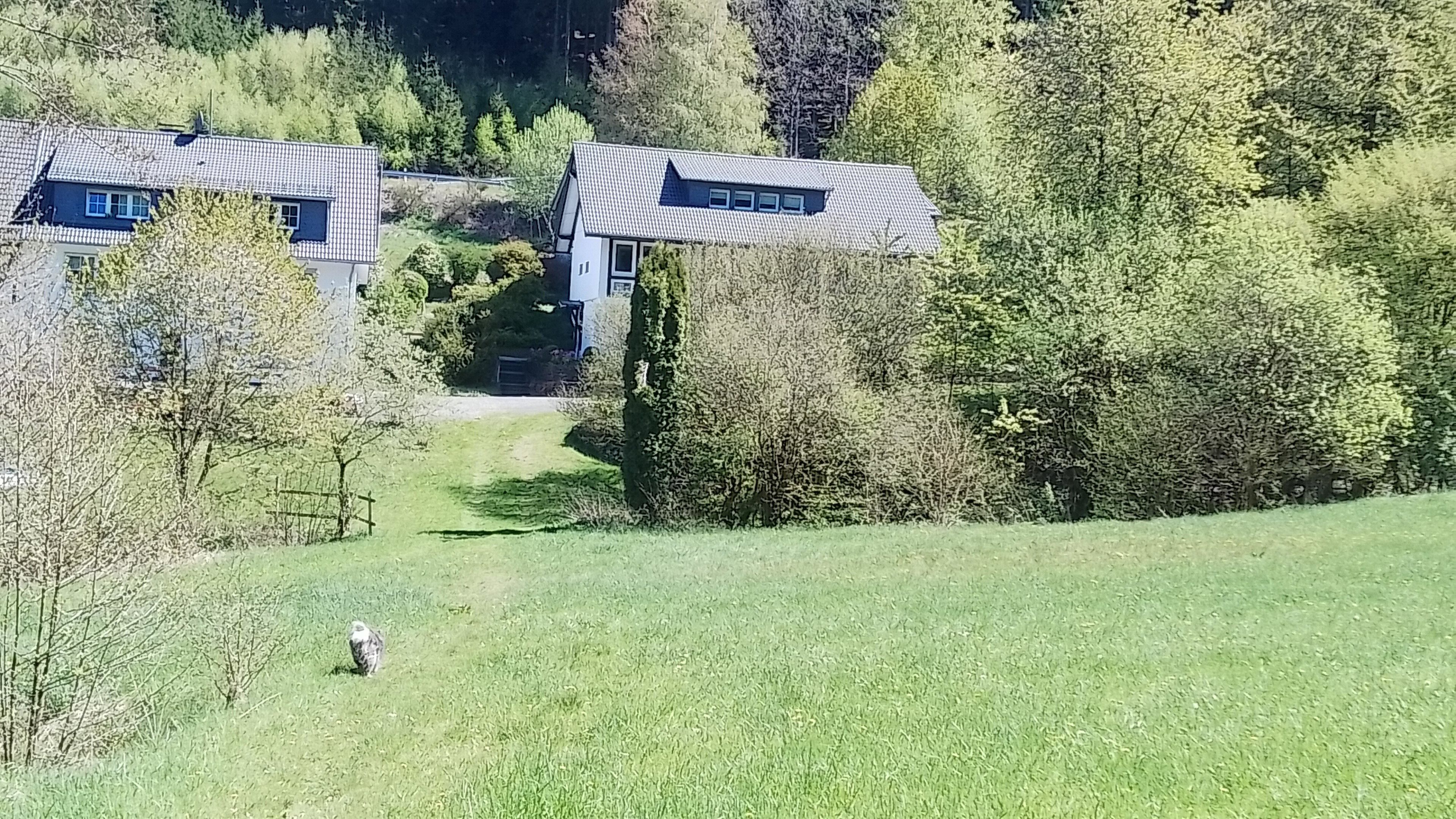 Casa nella natura a Eslohe