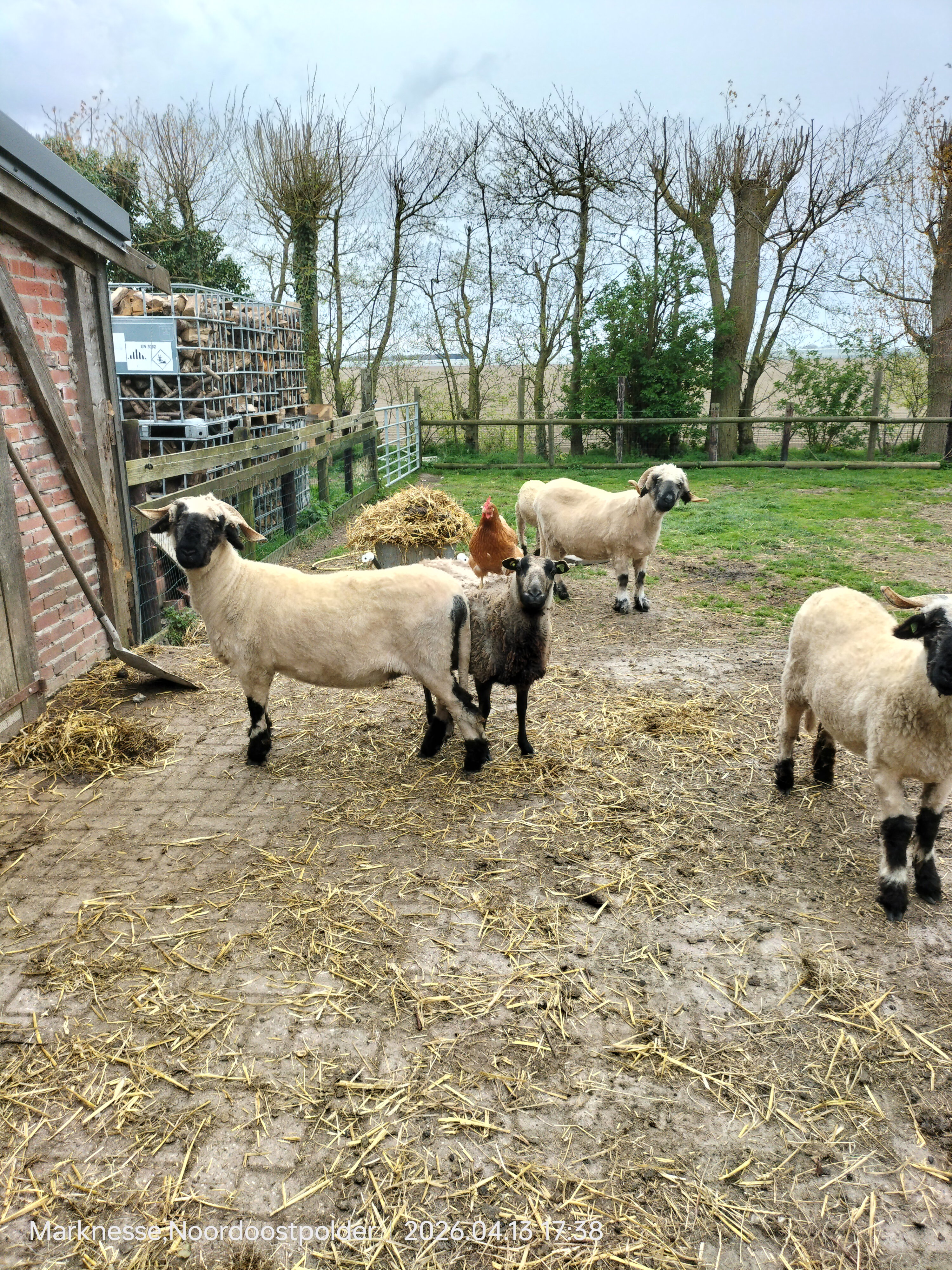 Natuurhuisje in Marknesse