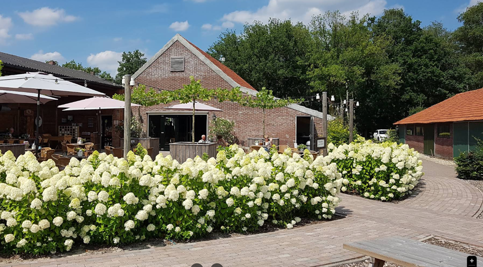 Natuurhuisje in Weert