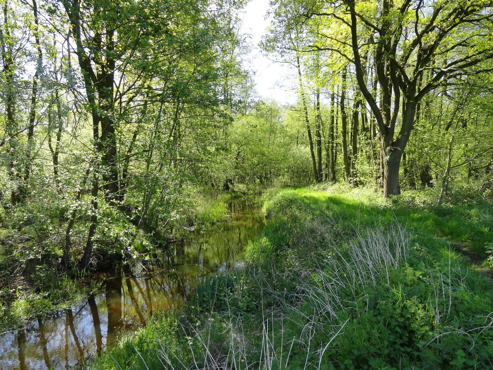 Natuurhuisje in Weert