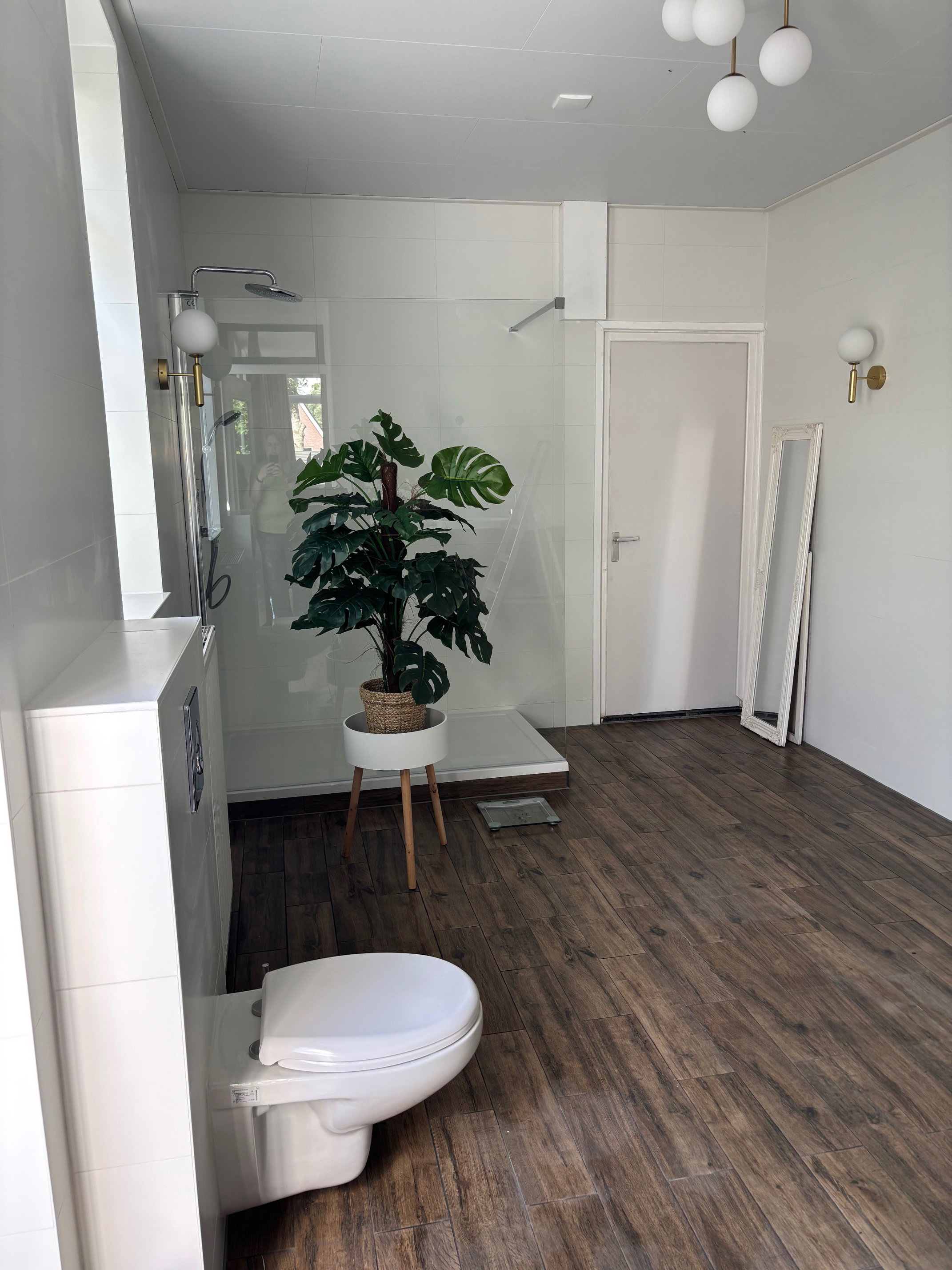 - image: 11