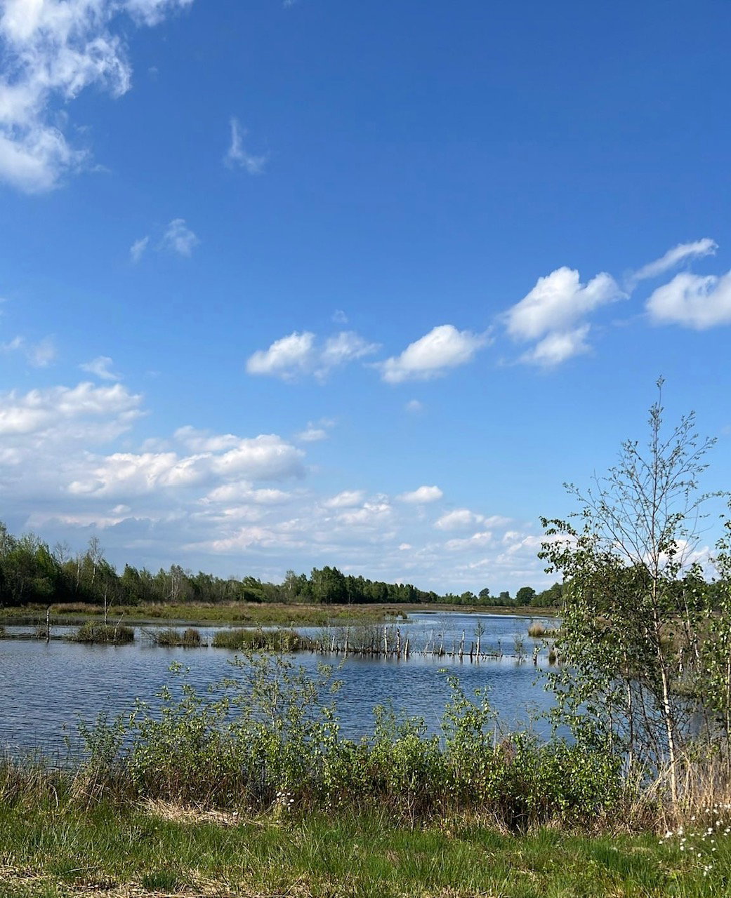 - image: 22